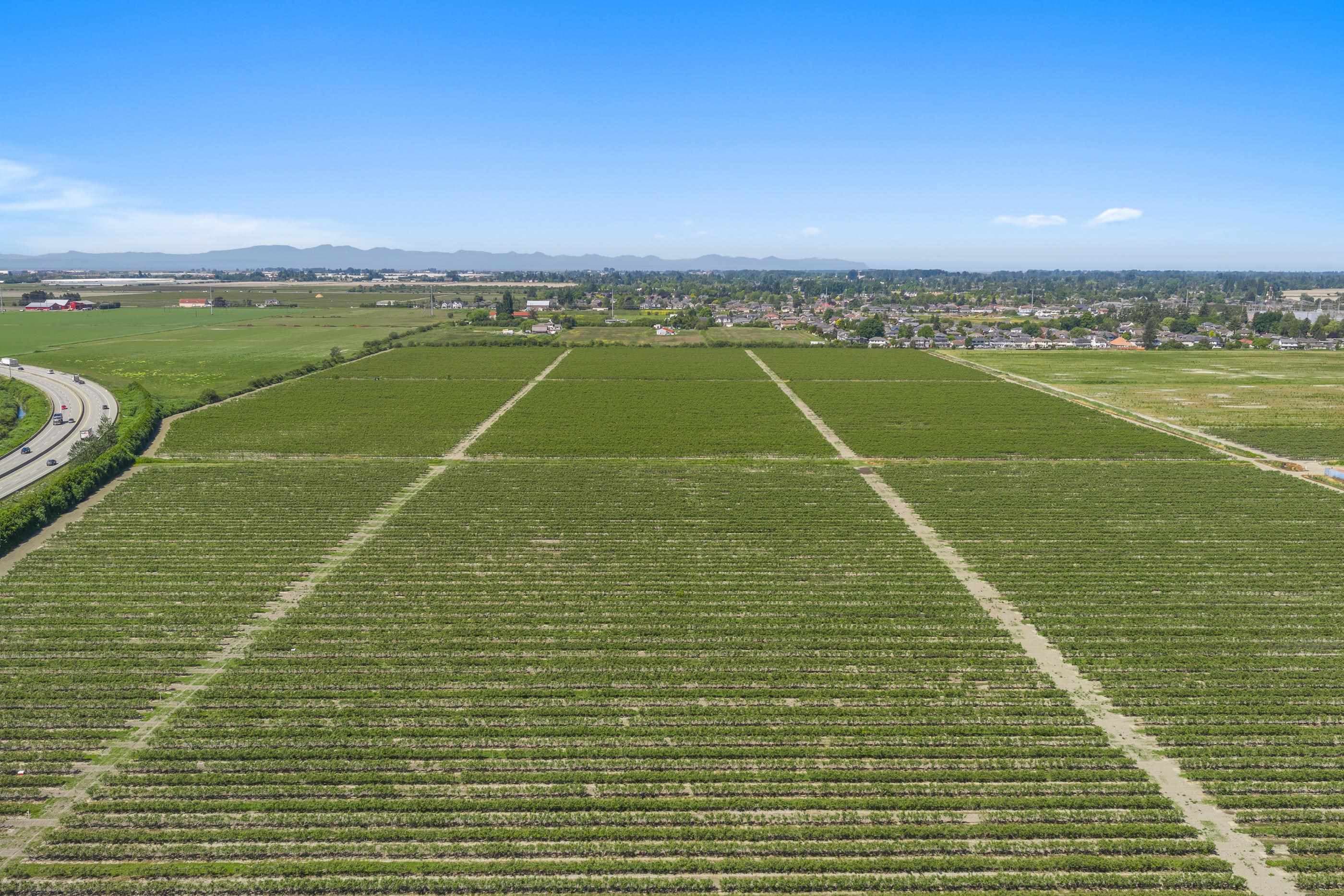 LOT 7 LADNER TRUNK ROAD — photo 4