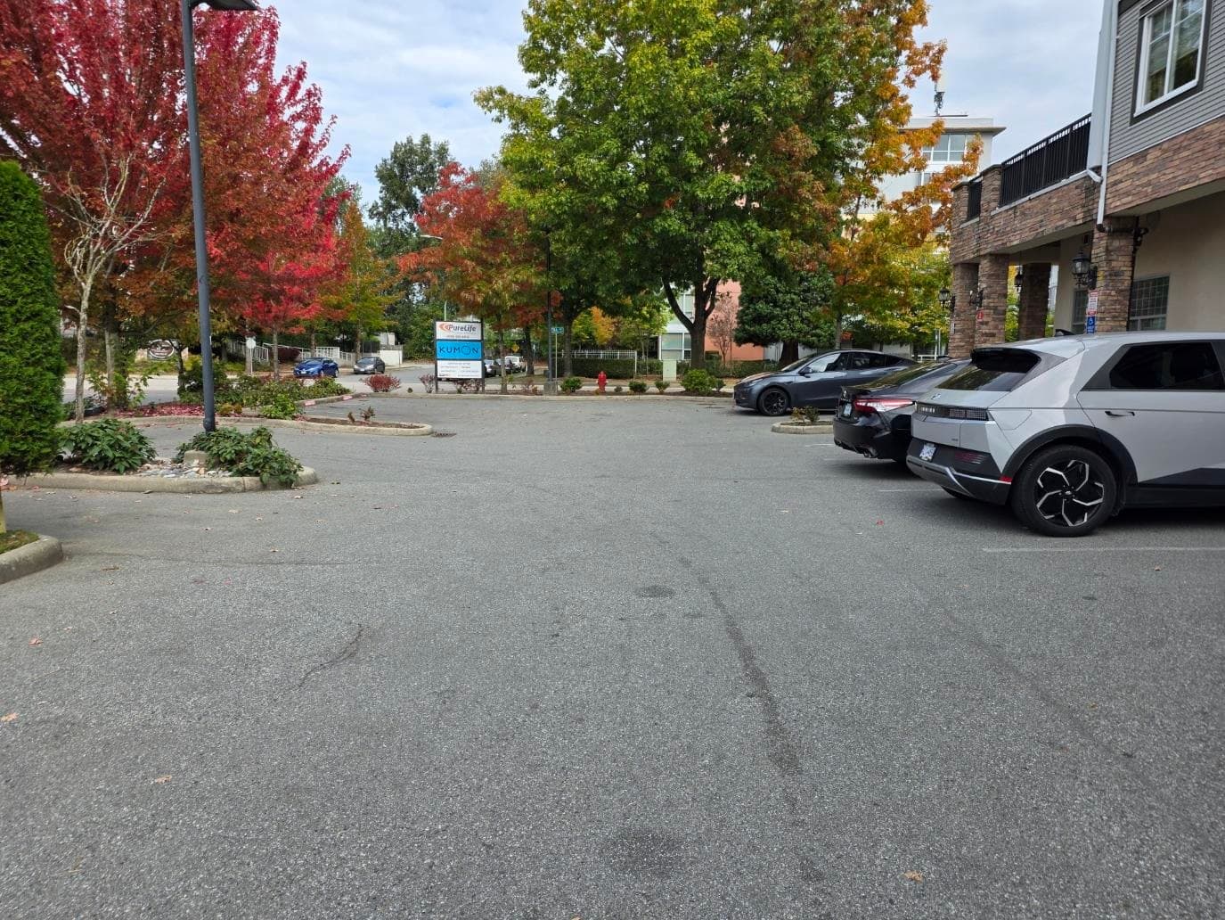 2 12088 75A AVENUE — photo 1