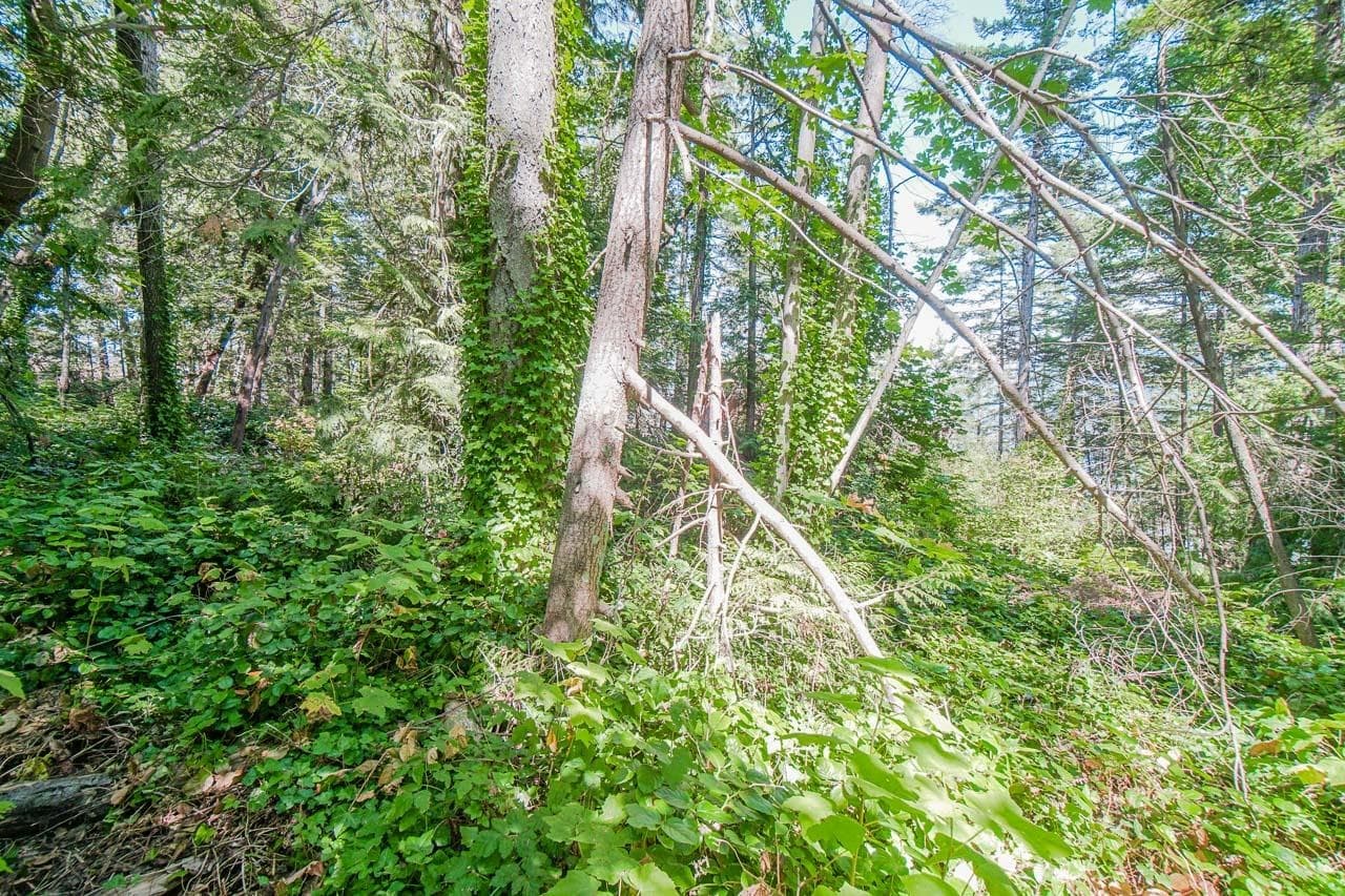 16 Passage Island, West Vancouver, V7W 1V7 — photo 3