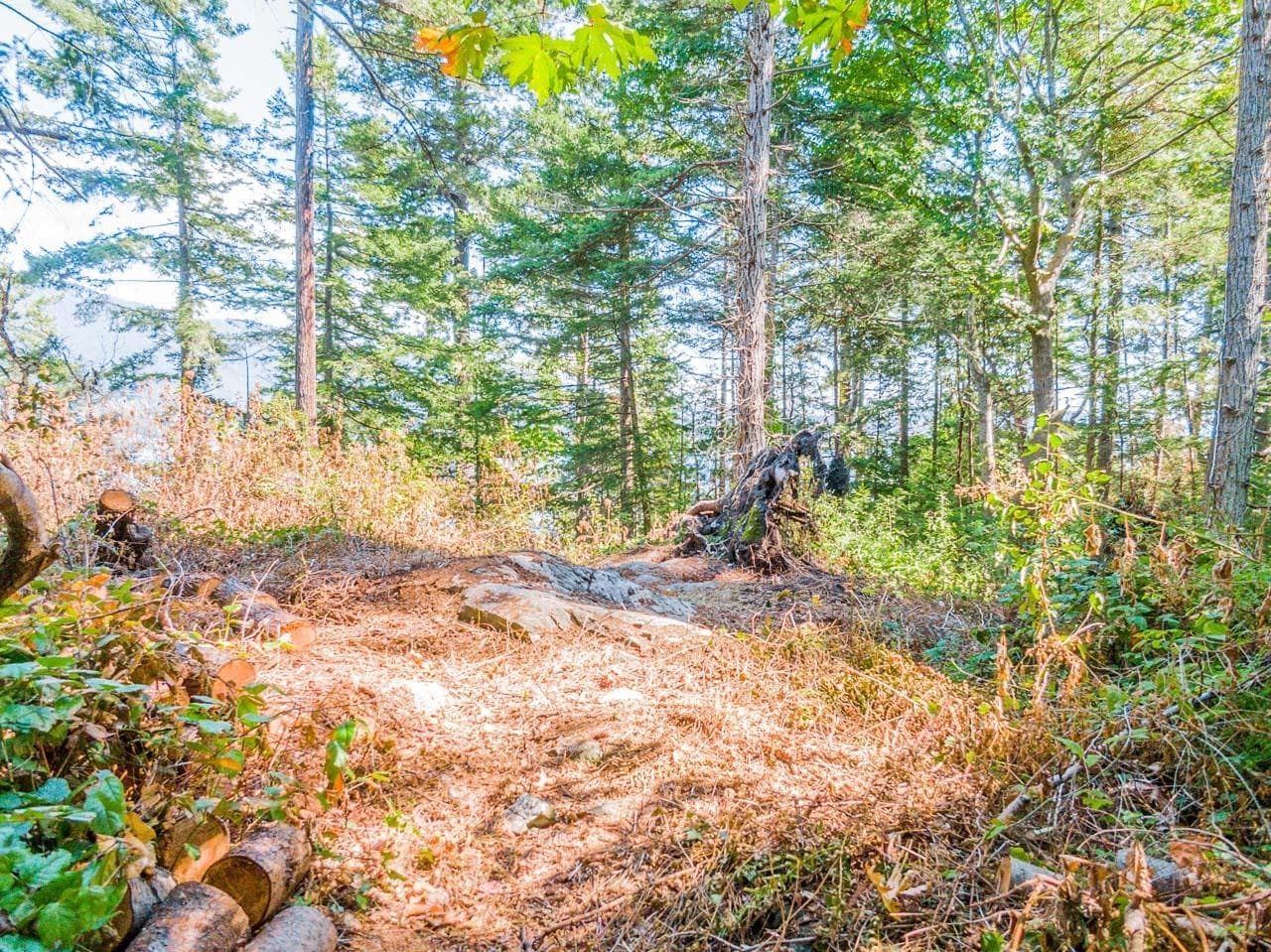 16 Passage Island, West Vancouver