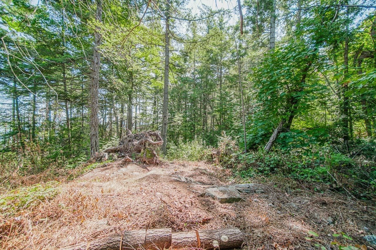 16 Passage Island, West Vancouver, V7W 1V7 — photo 5