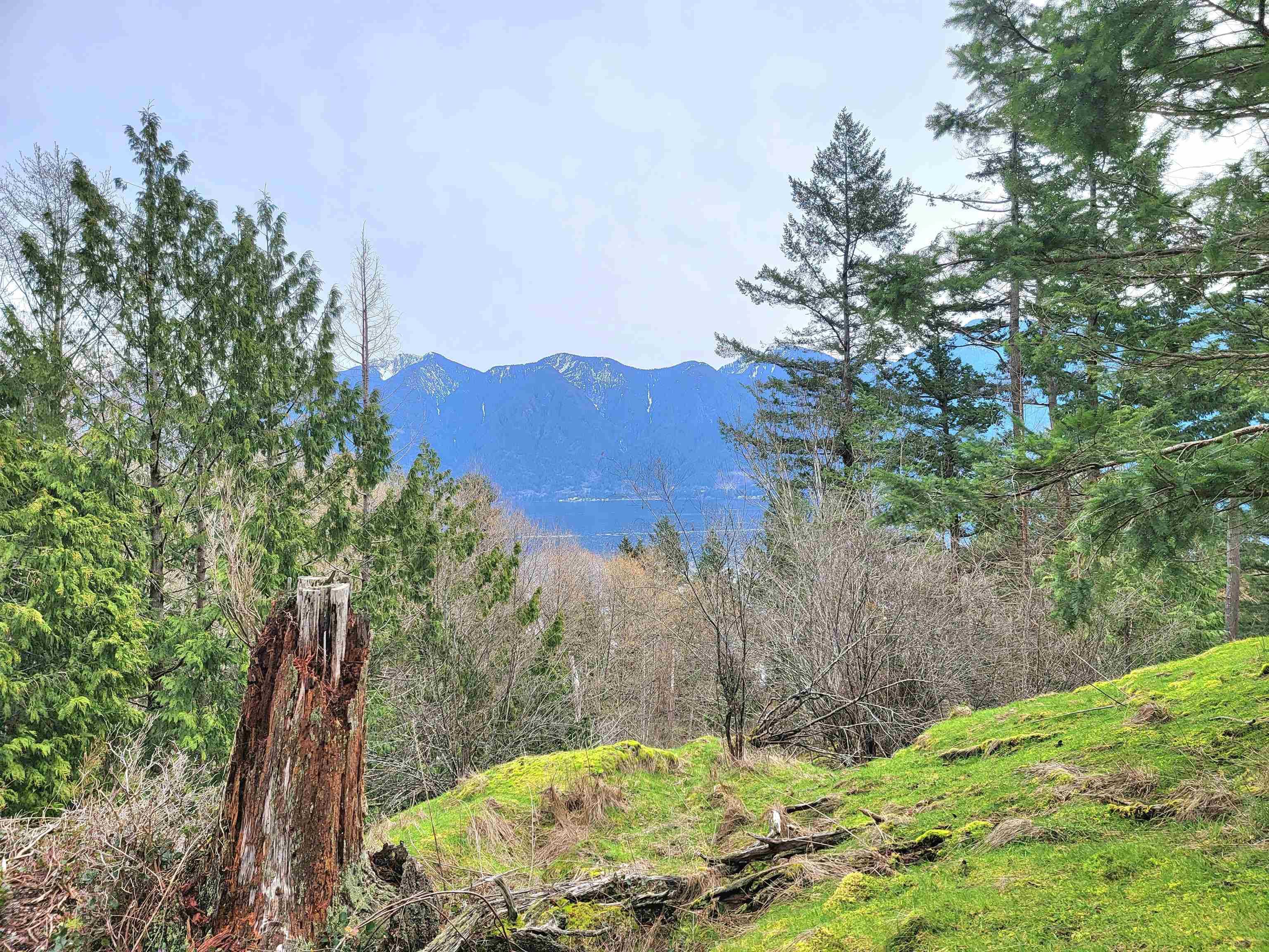 1562 Eaglecliff Road, Bowen Island