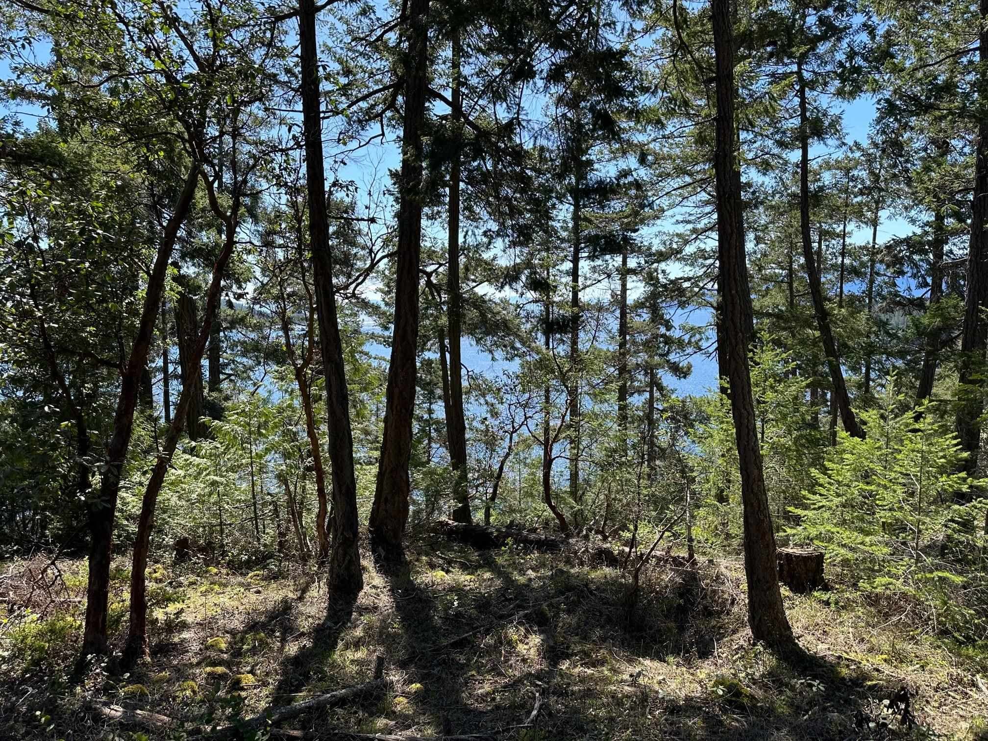 LOT 48 Orca Road, Garden Bay, V0N 1S1 — photo 3