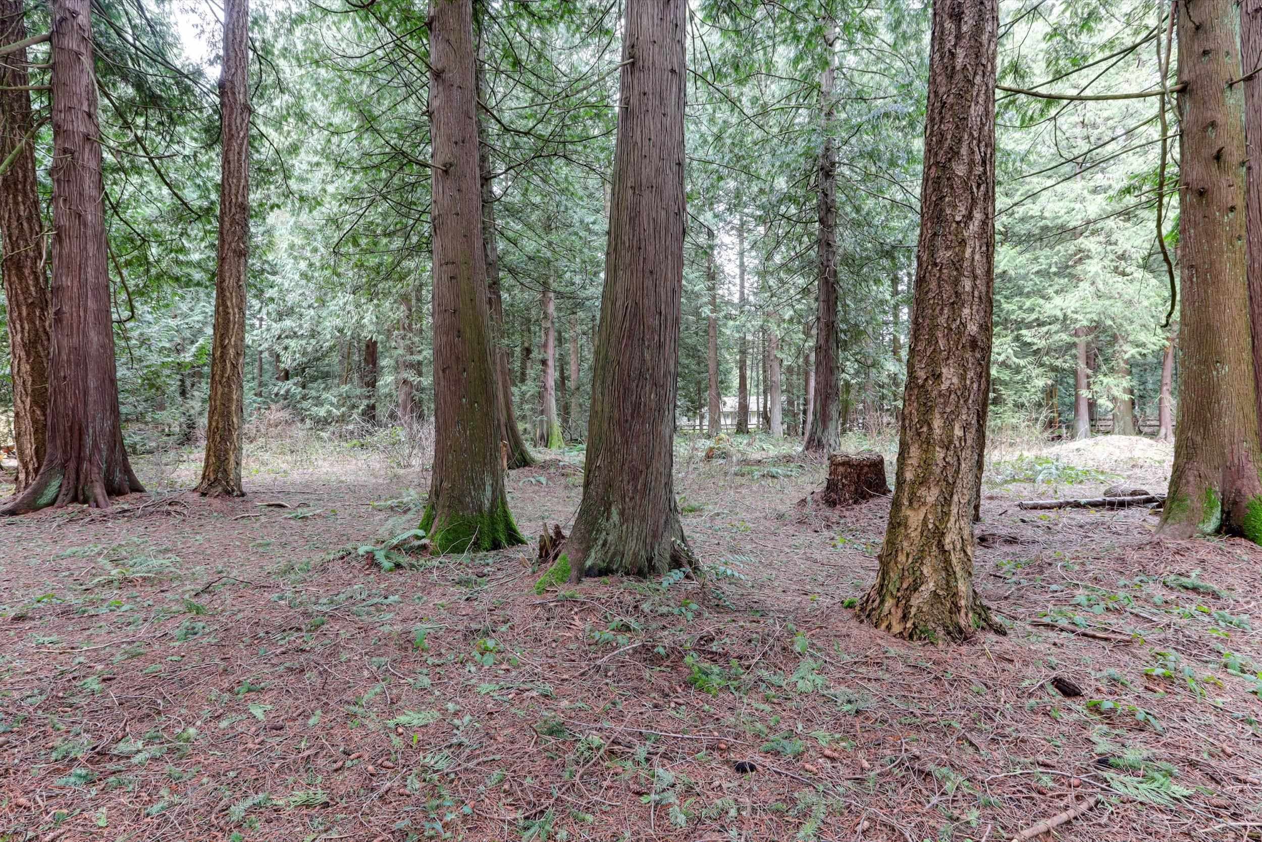 2059 198 Street, Langley, V2Z 1Y8 — photo 2