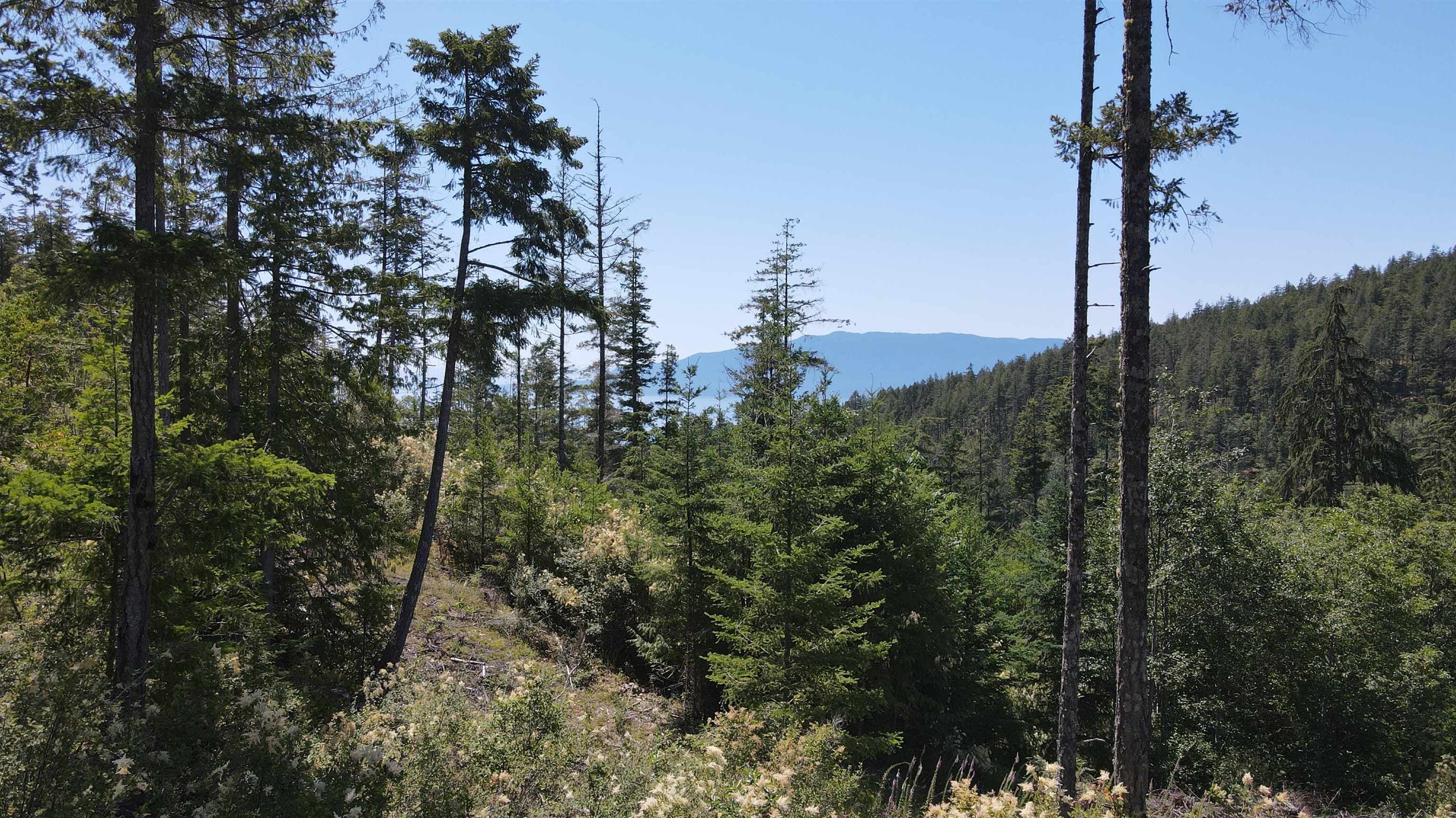 Lot 5 - 13803 Lee Road, Pender Harbour, V0N 1S1 — photo 3