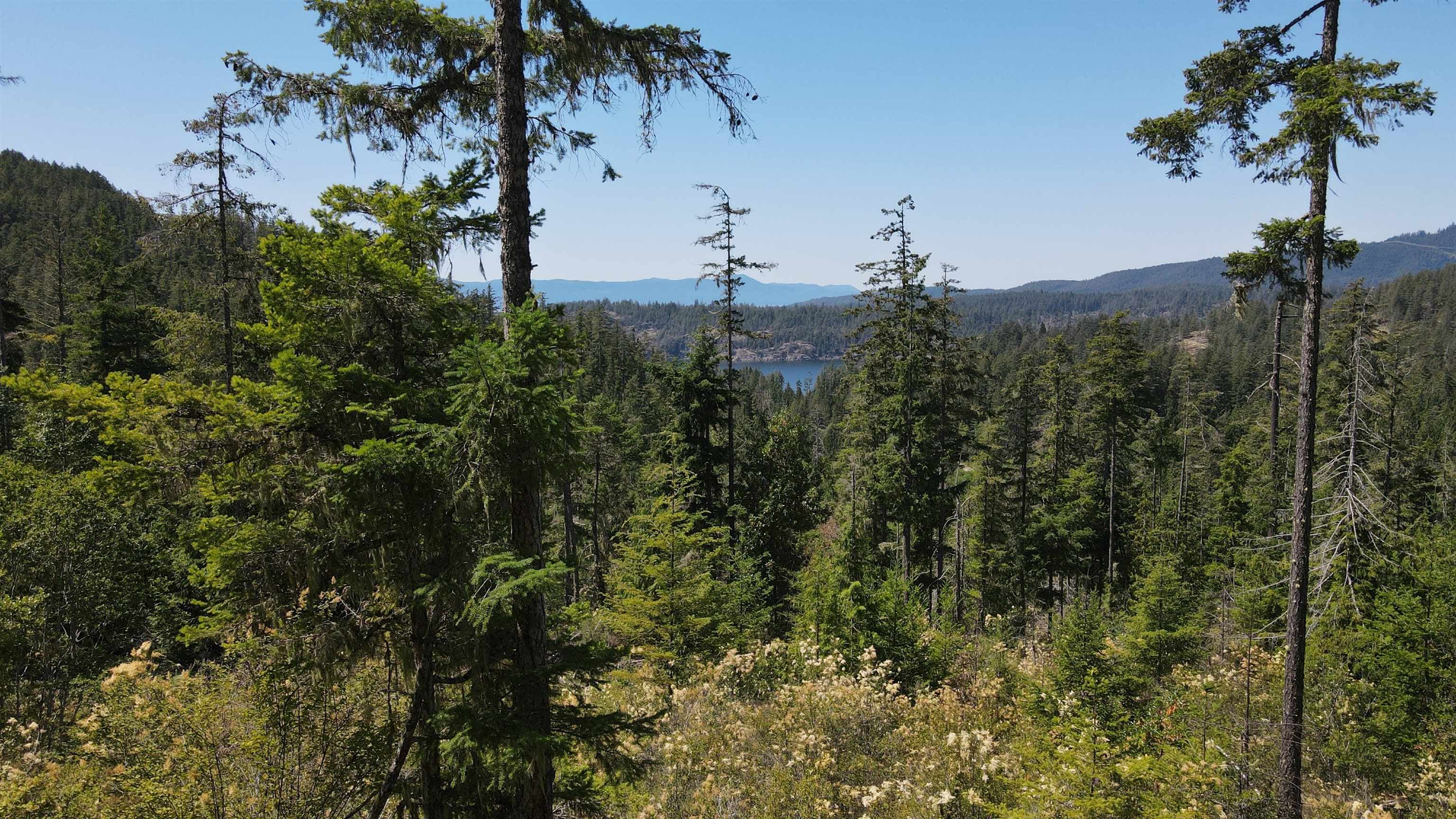 Lot 9 - 13803 Lee Road, Pender Harbour, V0N 1S1 — photo 4