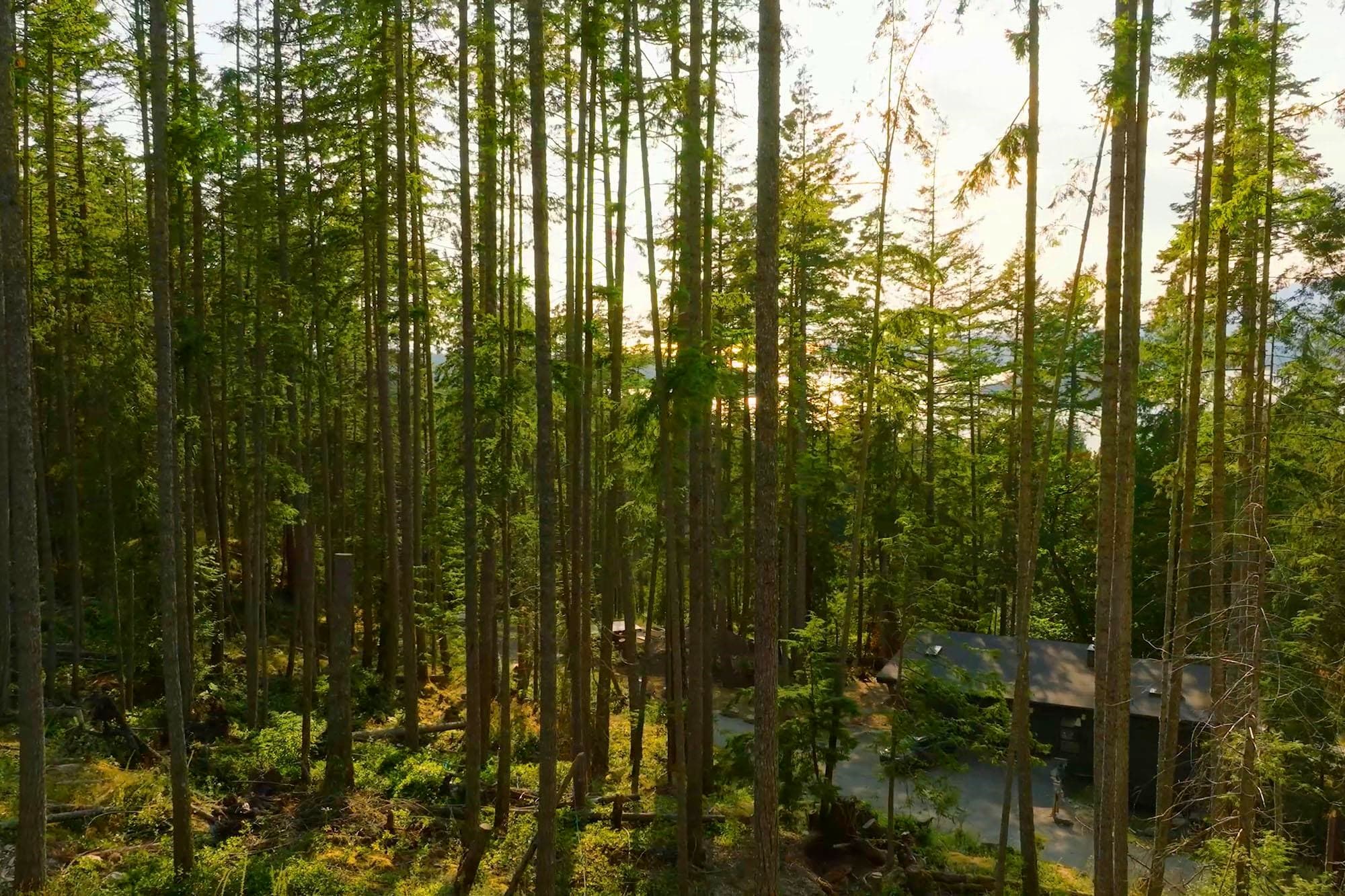 786 Hayes Road, Bowen Island, V0N 1G2 — photo 5