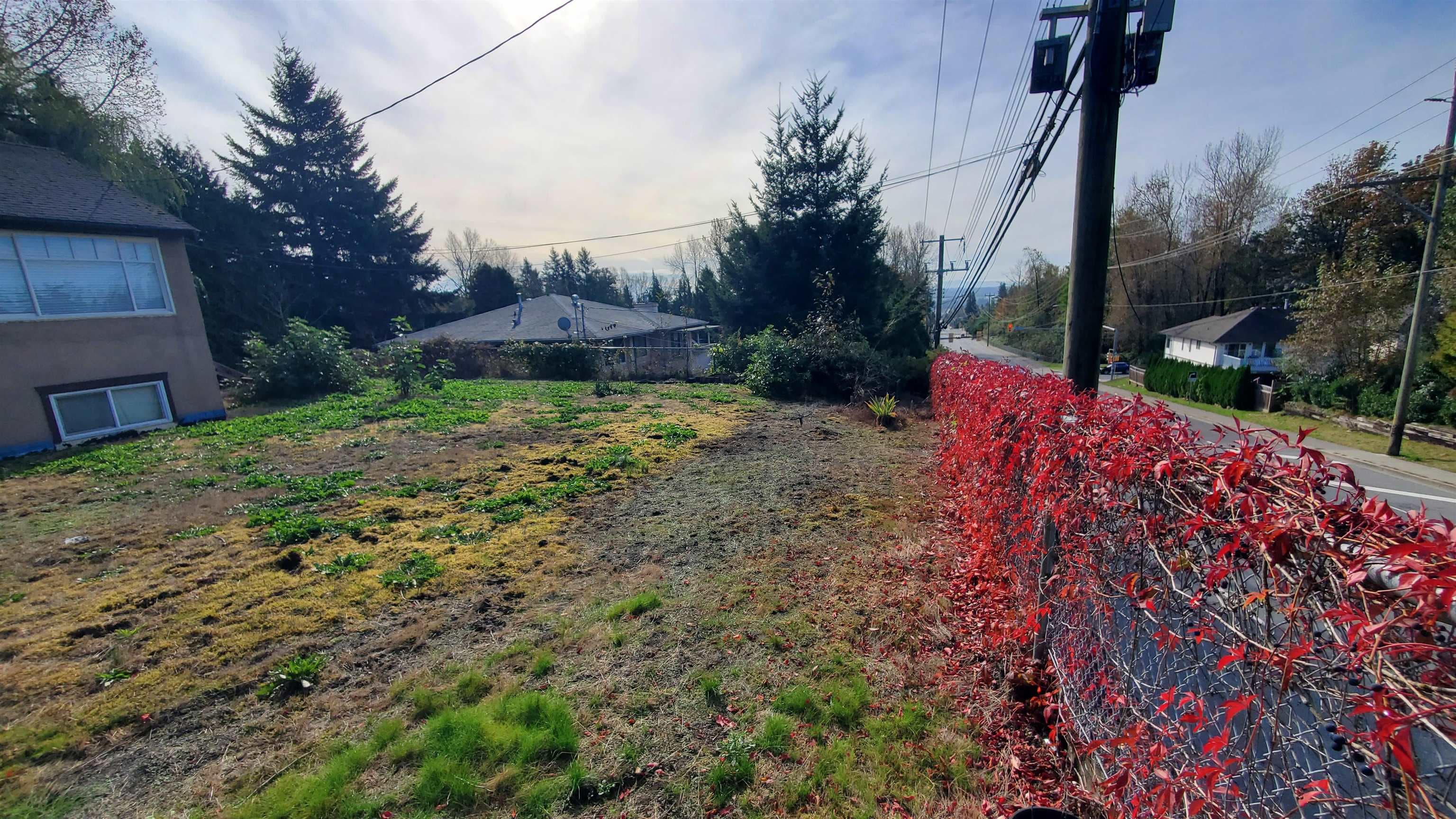 8042 Cedar Street, Mission, V2V 3N1 — photo 4