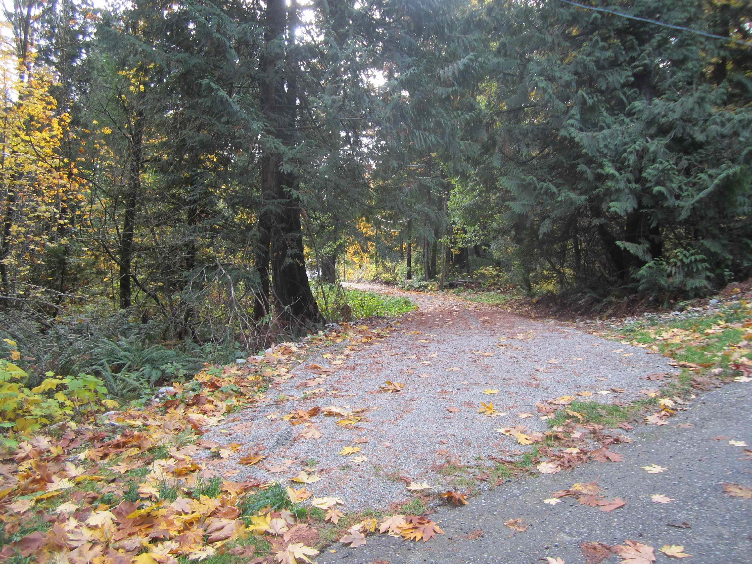 11121 Barnes Road, Mission, V0M 1G0 — photo 3