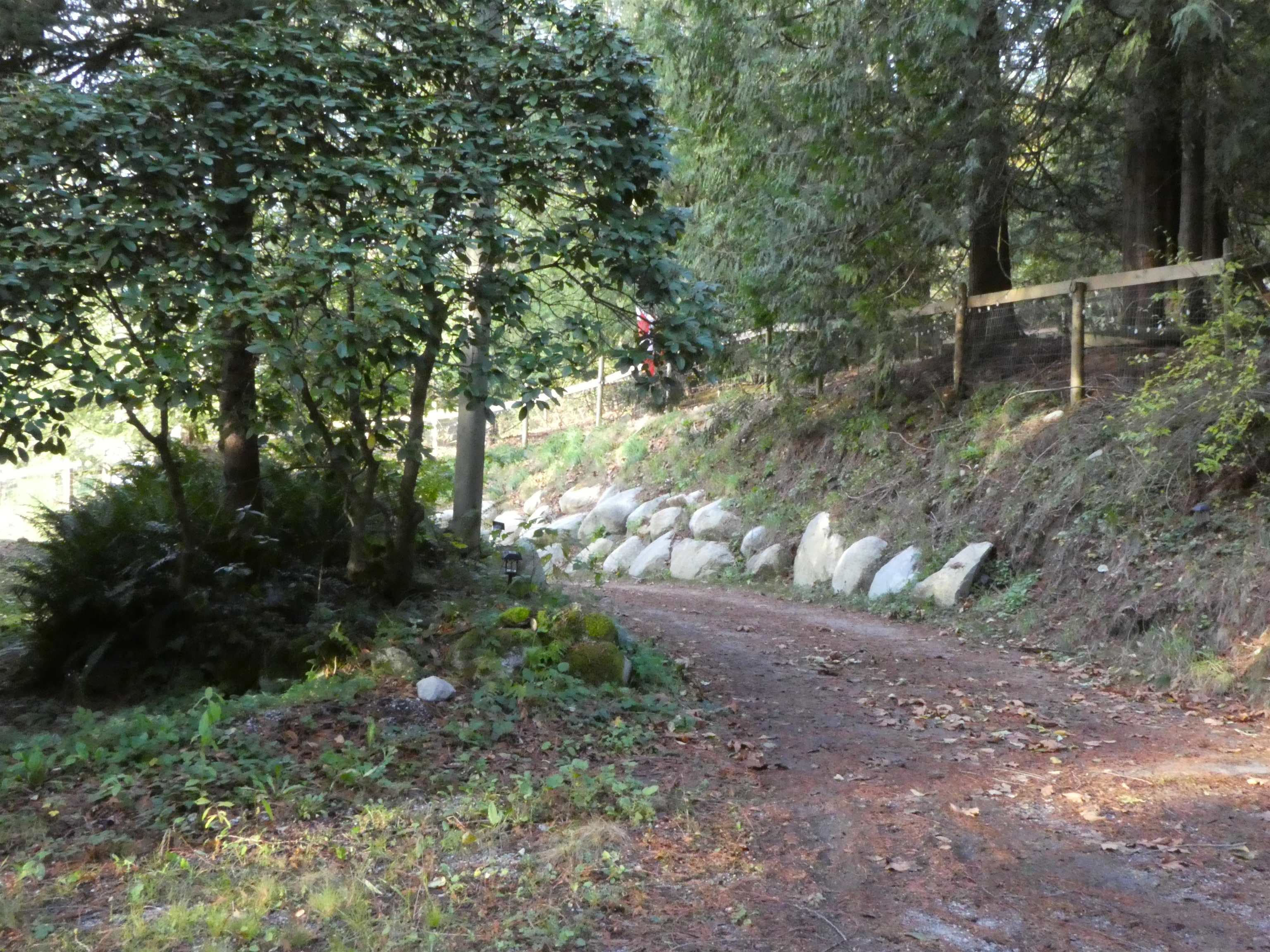 14042 232 Street, Maple Ridge, V4R 2G5 — photo 2
