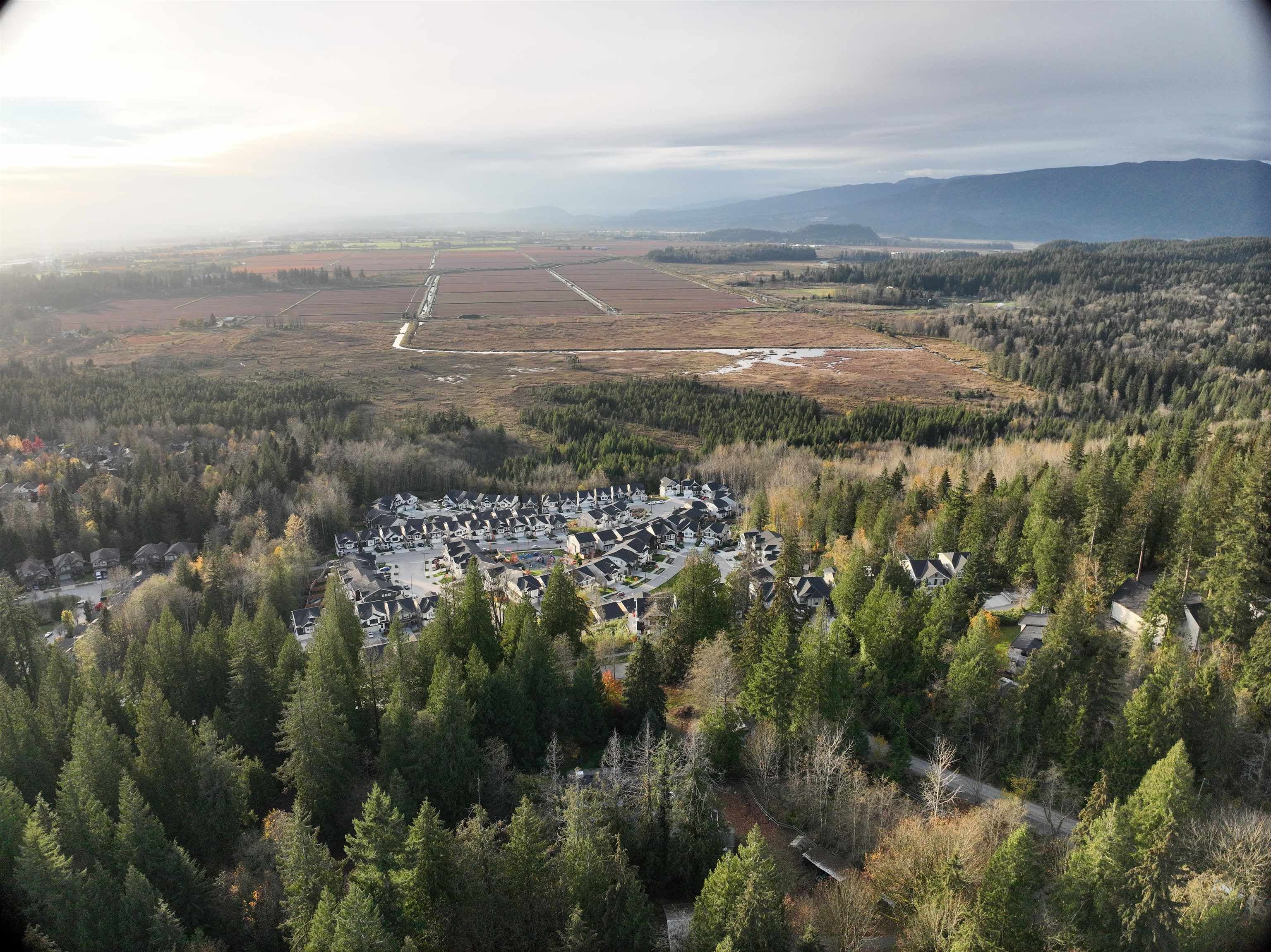 14042 232 Street, Maple Ridge, V4R 2G5 — photo 5