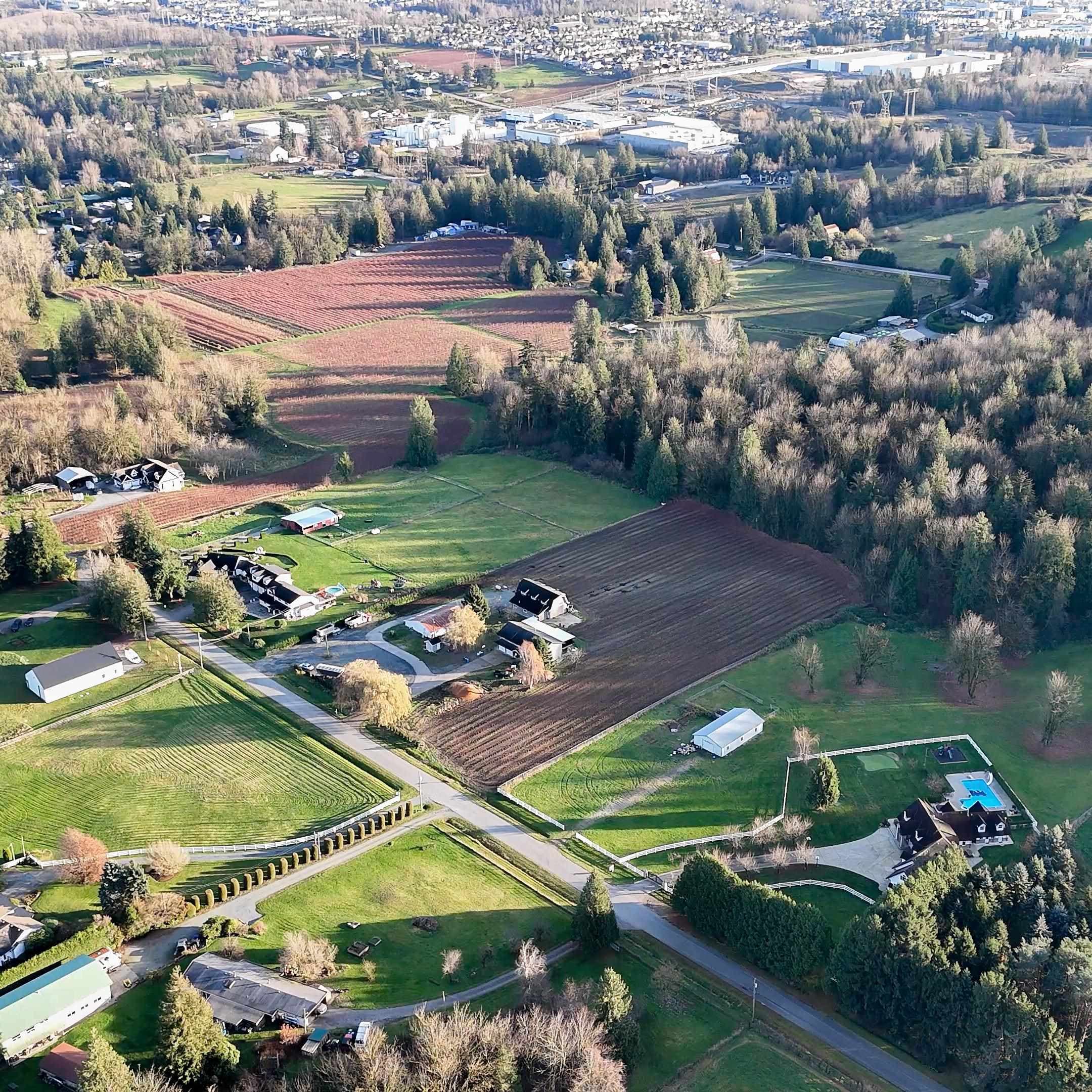 29914 Glengarrry Avenue, Abbotsford, V4X 1Z7 — photo 5