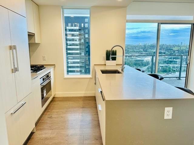 1505 - 4465 Juneau Street, Burnaby, V5C 0L8 — photo 5