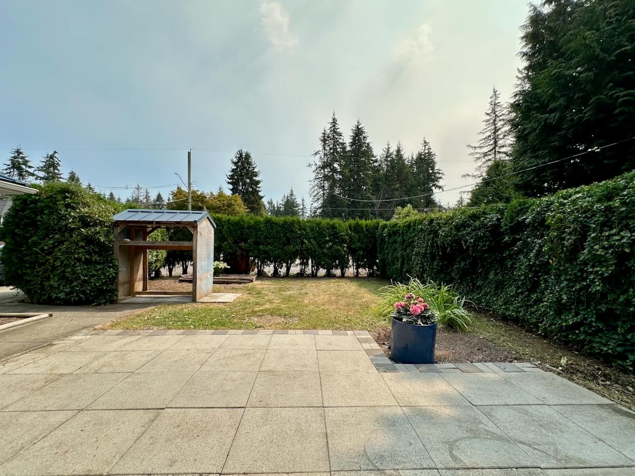 3837 202 Street, Langley, V3A 1R9 — photo 4