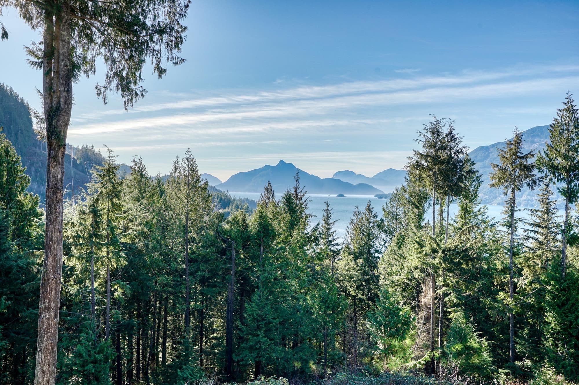 1024 Goat Ridge Drive, Britannia Beach