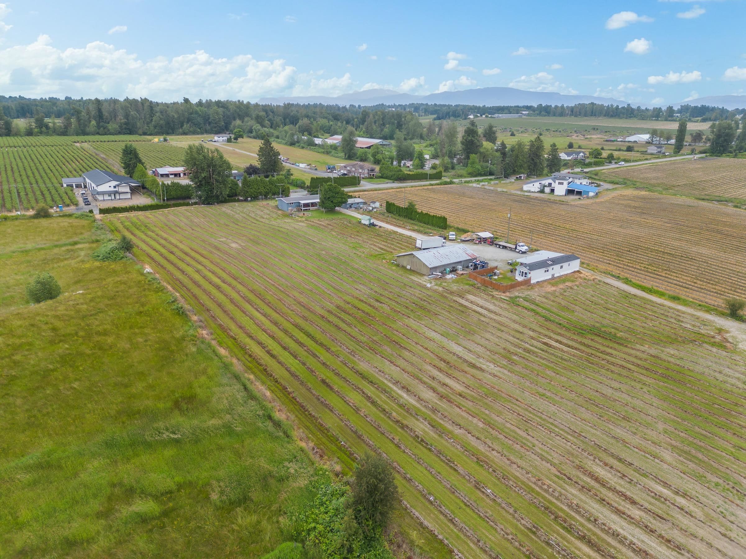 3811 Lefeuvre Road, Abbotsford, V4X 1N6 — photo 2