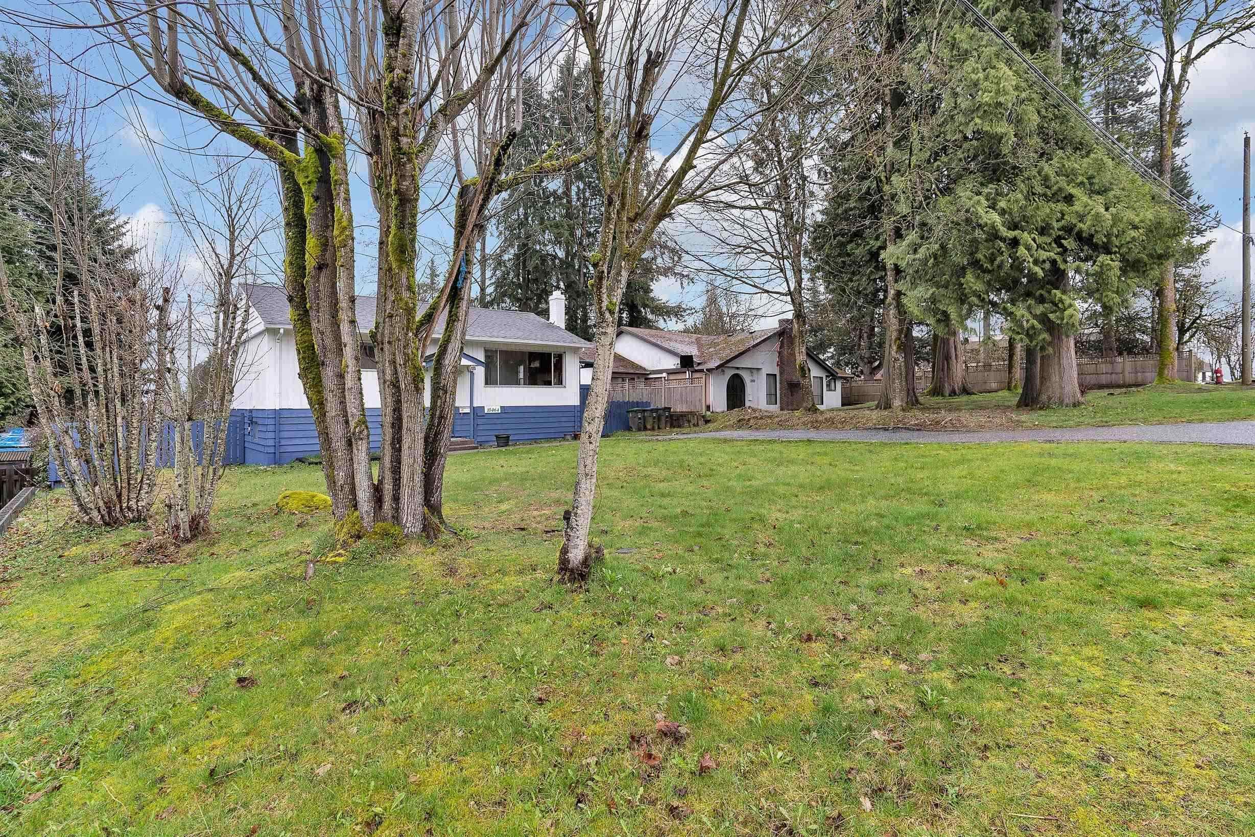 10464 154a Street, Surrey, V3R 4K1 — photo 3