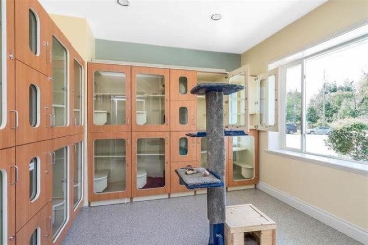 4102 Lefeuvre Road, Abbotsford, V4X 1N8 — photo 5