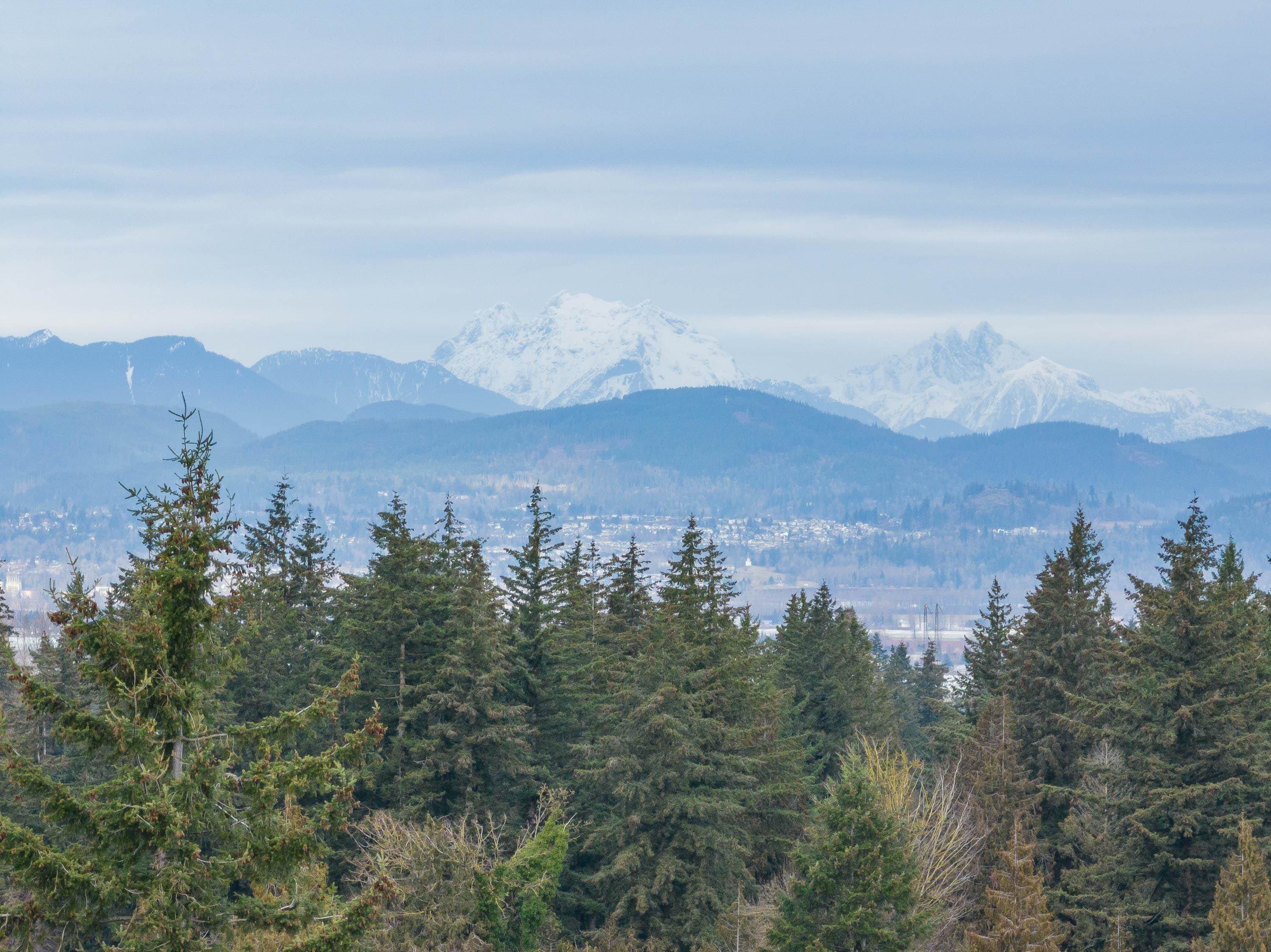 2485 Beck Road, Abbotsford, V2S 4S3 — photo 5
