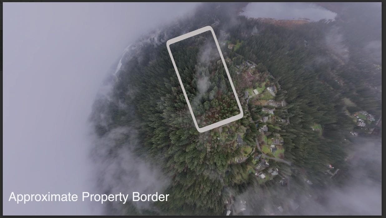 28409 116 Avenue, Maple Ridge, V2X 0H1 — photo 5