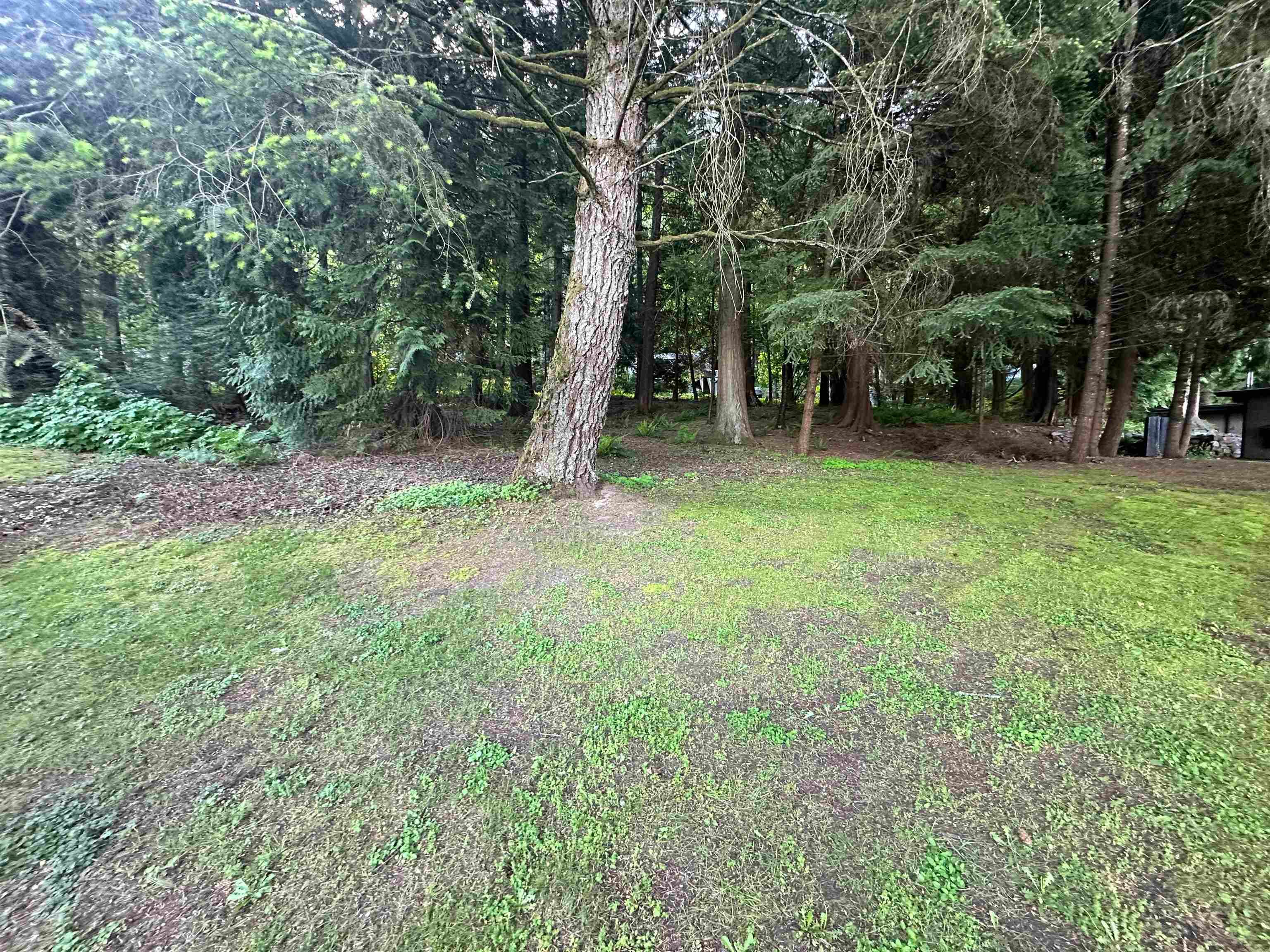 6361 Thunderbird Crescent, Harrison Hot Springs, V0M 1A0 — photo 4