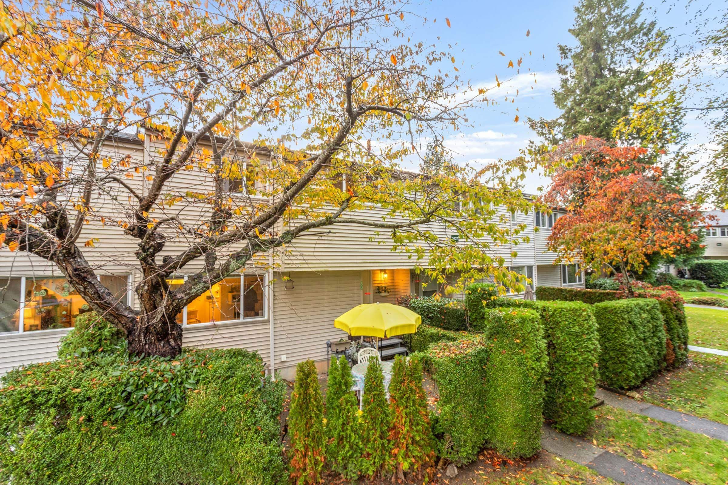 80 - 3437 E 49th Avenue, Vancouver, V5S 1M1 — photo 1