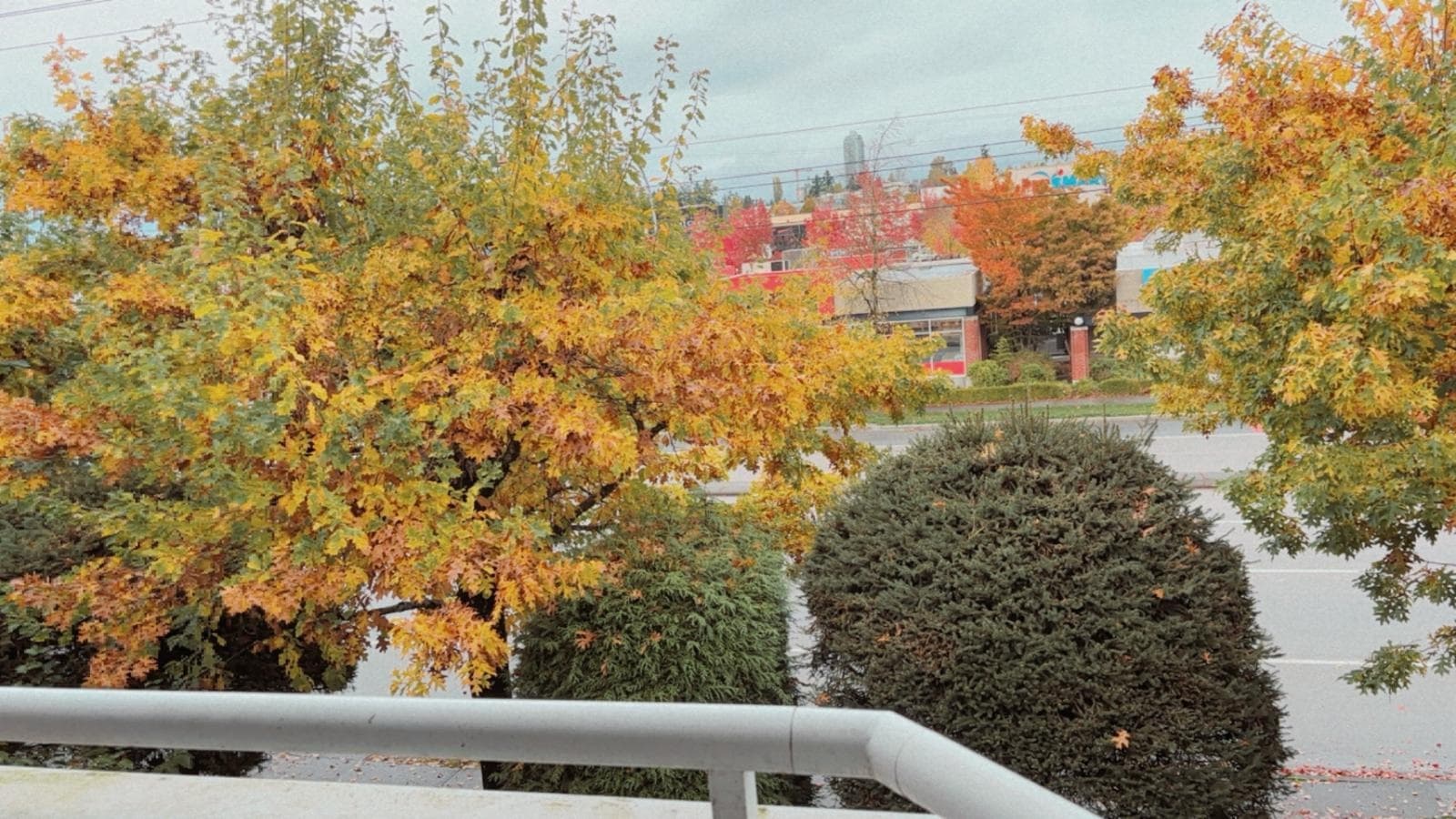 309 - 7171 121 Street, Surrey, V3W 1G9 — photo 3