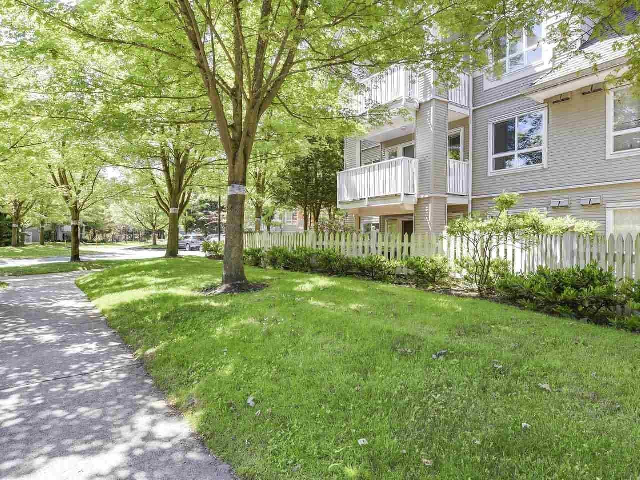 207 - 8060 Jones Road, Richmond, V6Y 4K5 — photo 4