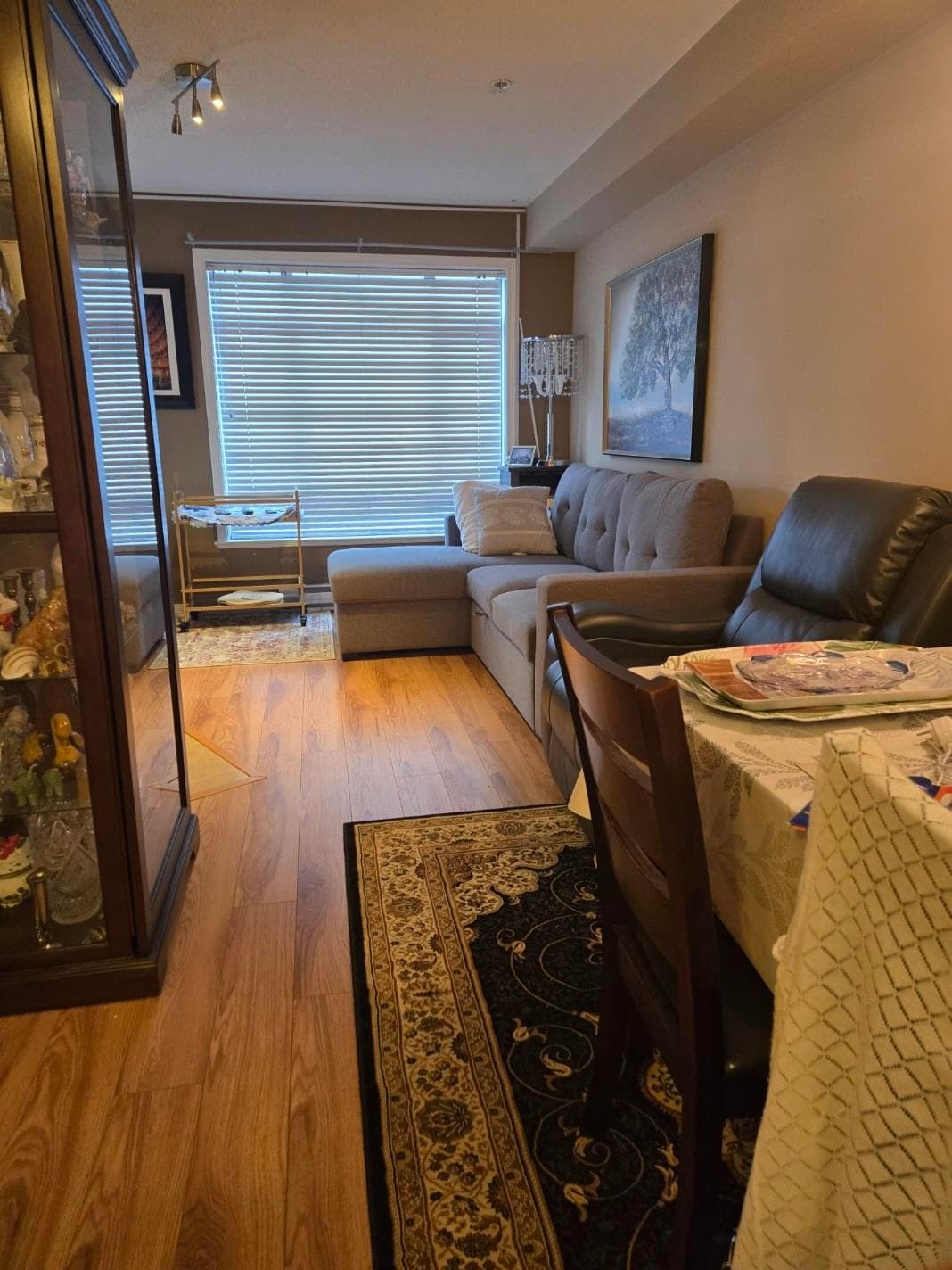 229 - 8880 202 Street, Langley, V1M 4E7 — photo 3