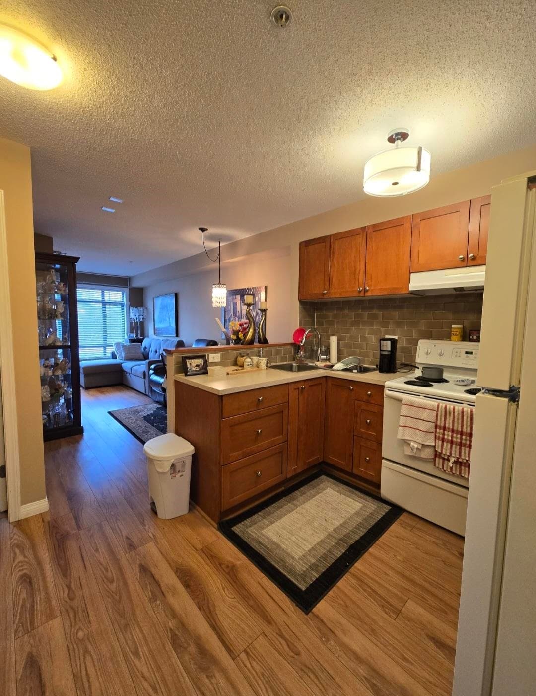 229 - 8880 202 Street, Langley, V1M 4E7 — photo 4