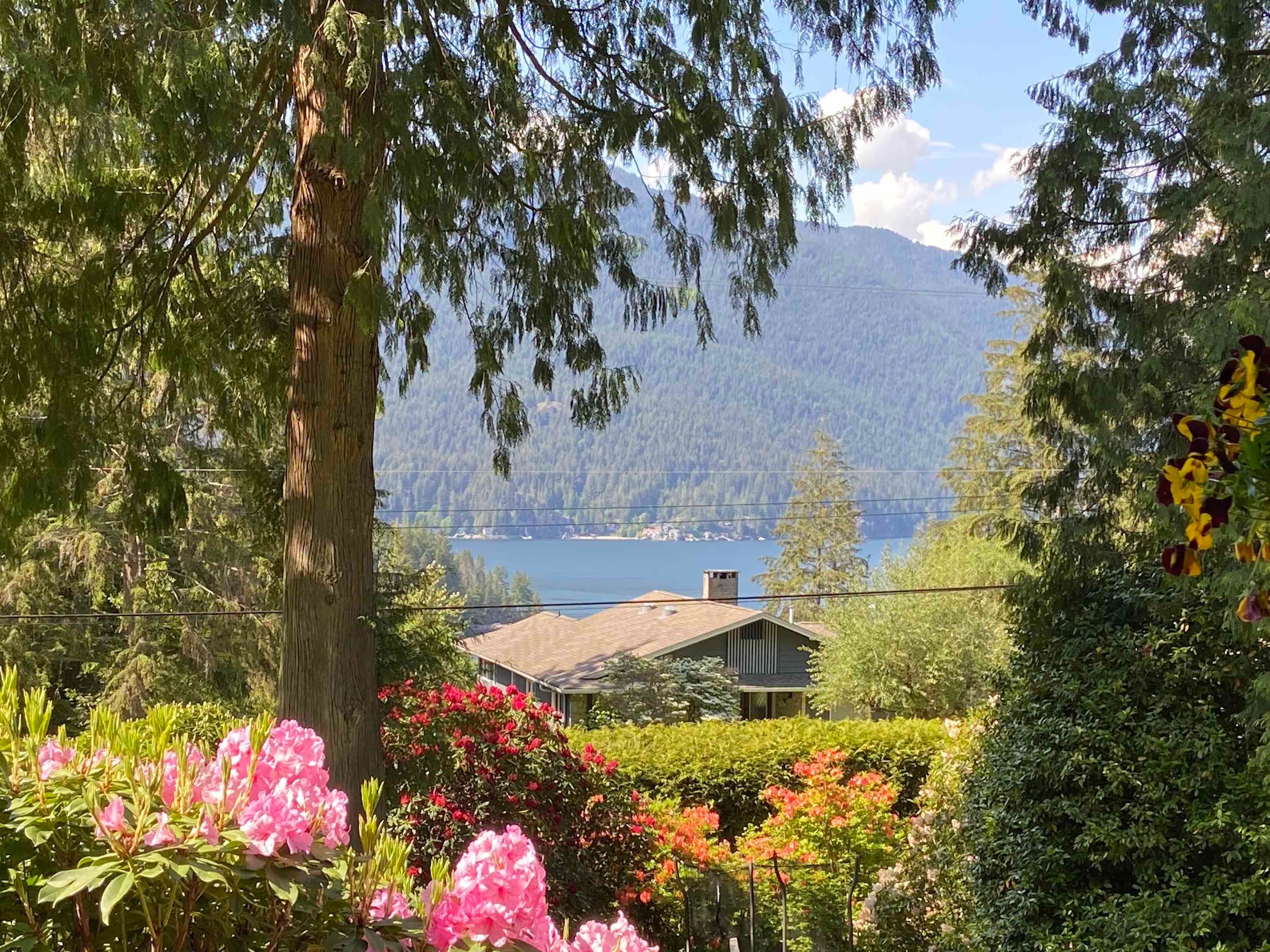 3626 Main Avenue, Belcarra, V3H 4P7 — photo 3