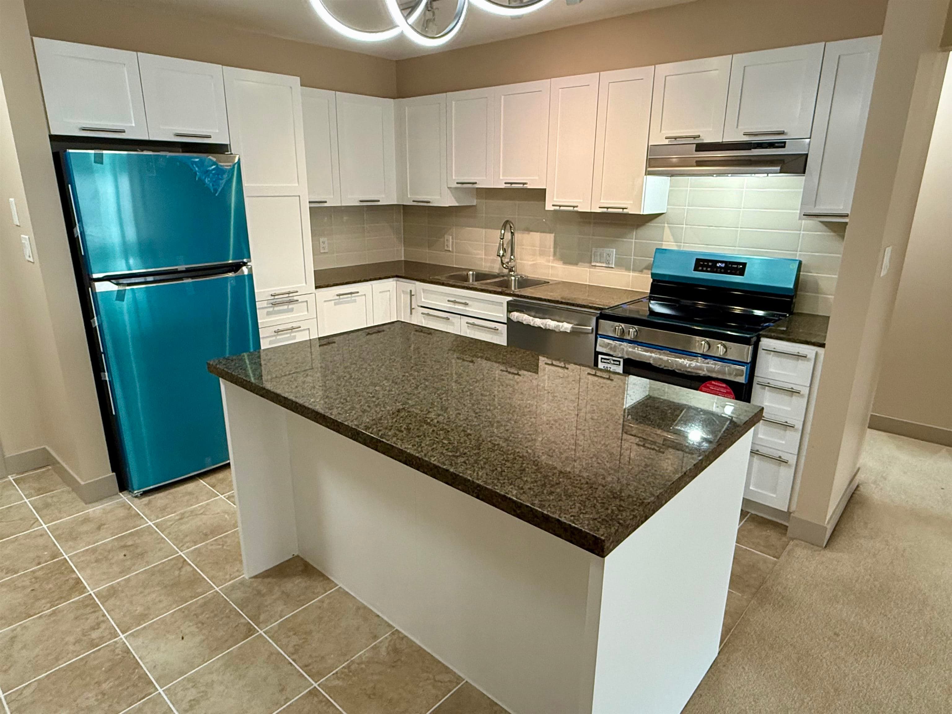 202 - 19673 Meadow Gardens Way, Pitt Meadows, V3Y 0A1 — photo 3