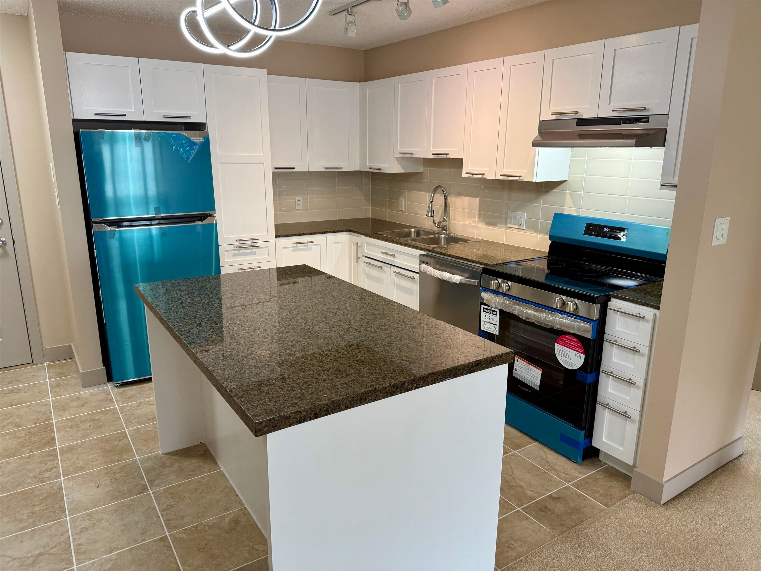 202 - 19673 Meadow Gardens Way, Pitt Meadows, V3Y 0A1 — photo 5