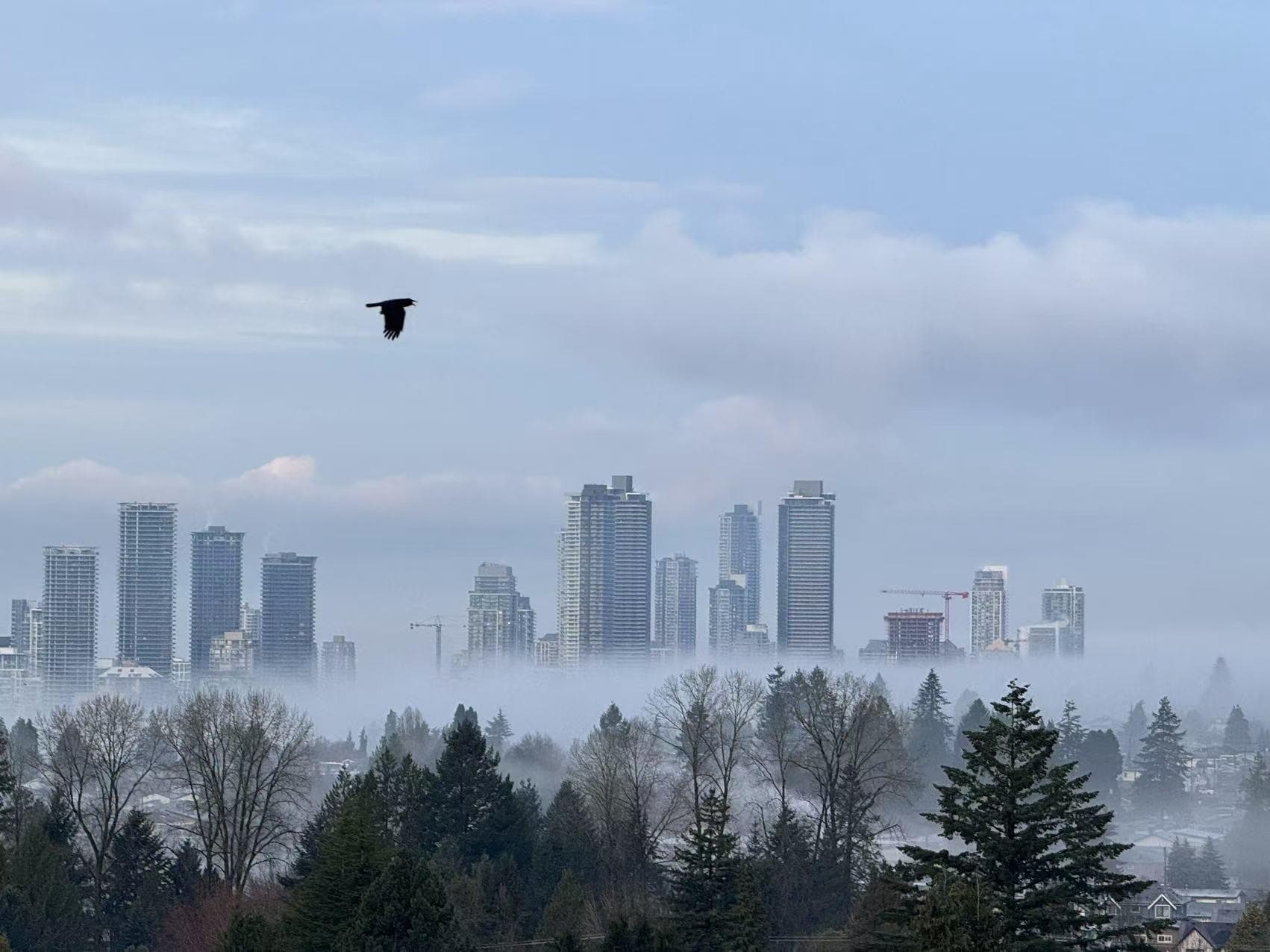 7468 Curtis Street, Burnaby