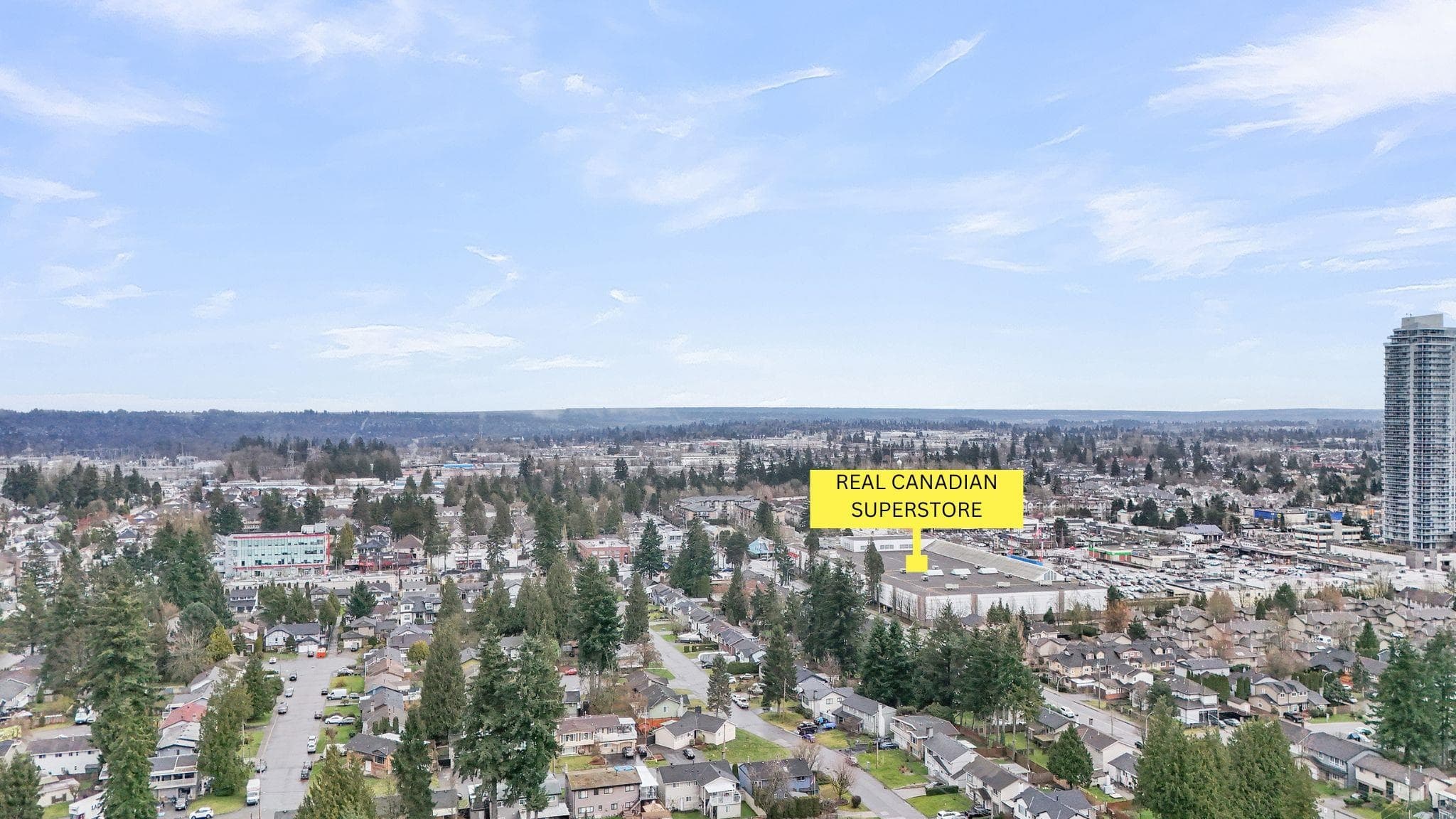 11717 82b Avenue, Delta, V4C 2E8 — photo 4