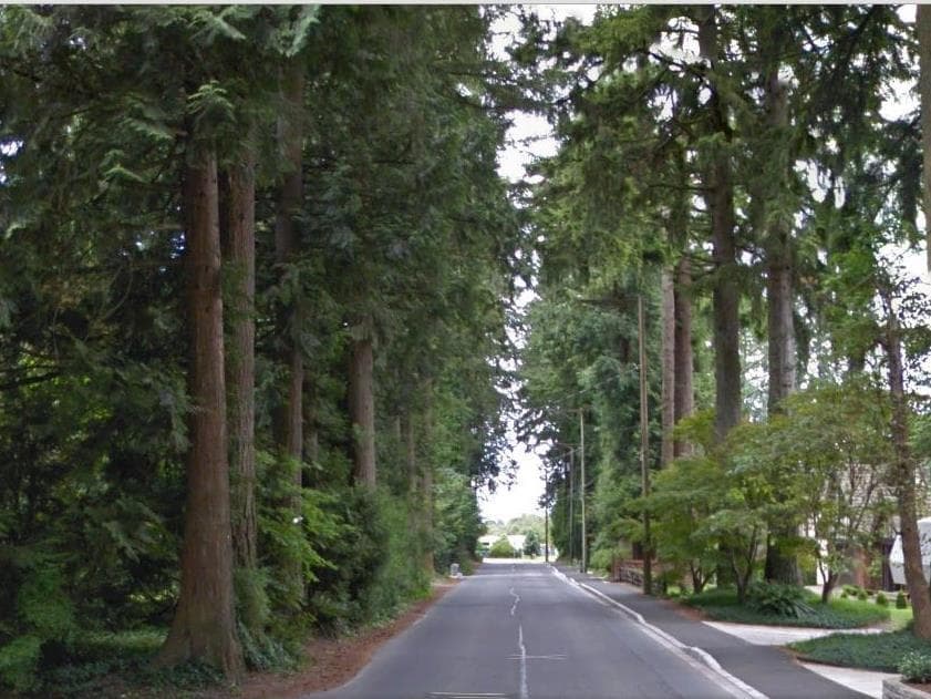 21310 124 Avenue, Maple Ridge, V2X 4G9 — photo 4