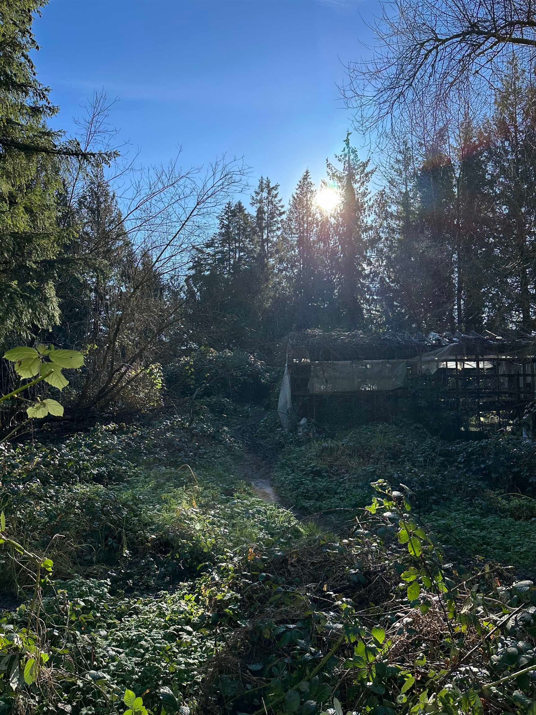 28444 Bell Avenue, Maple Ridge, V2W 1L3 — photo 5