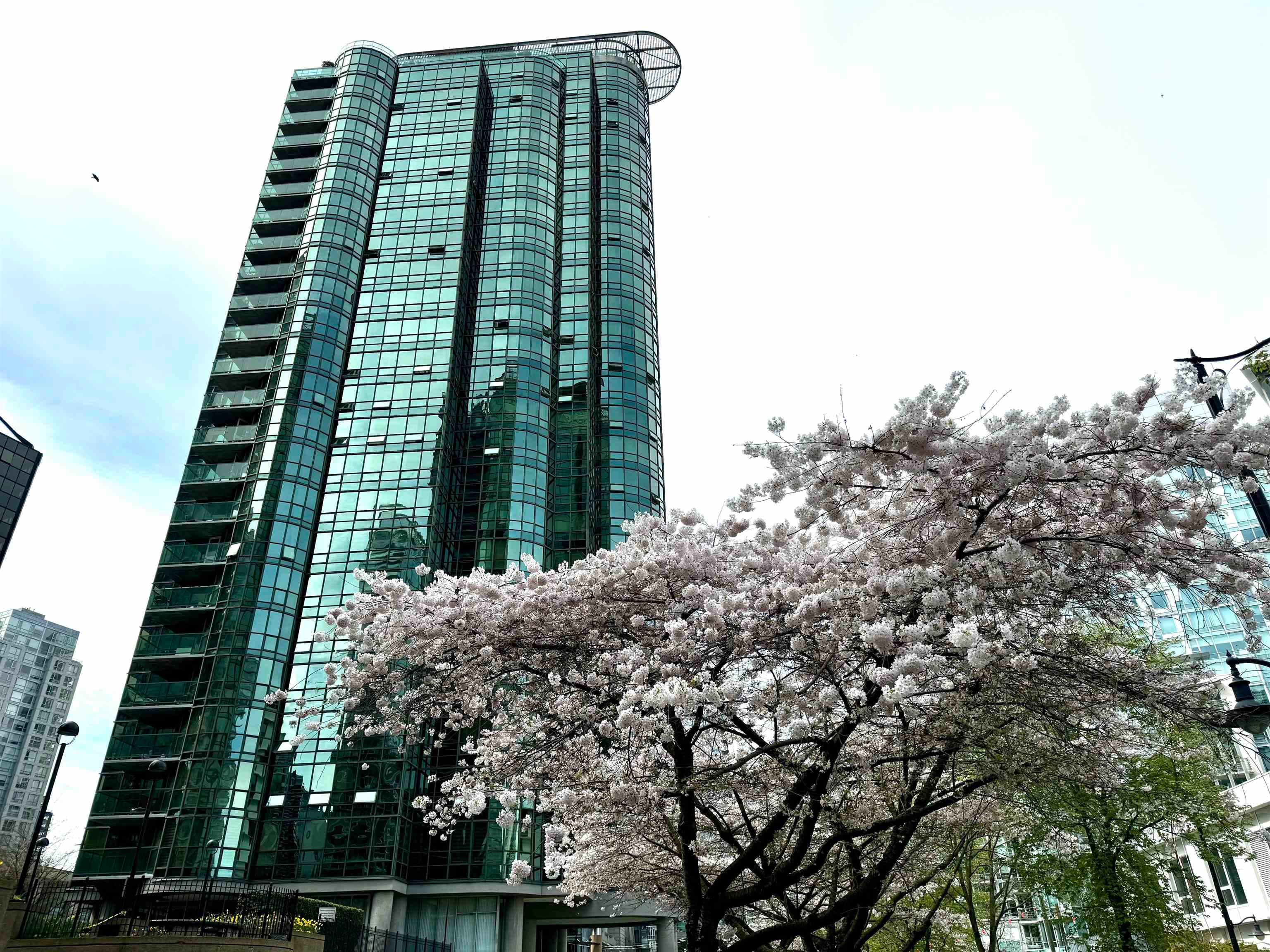 1404 - 555 Jervis Street, Vancouver, V6E 4N1 — photo 2