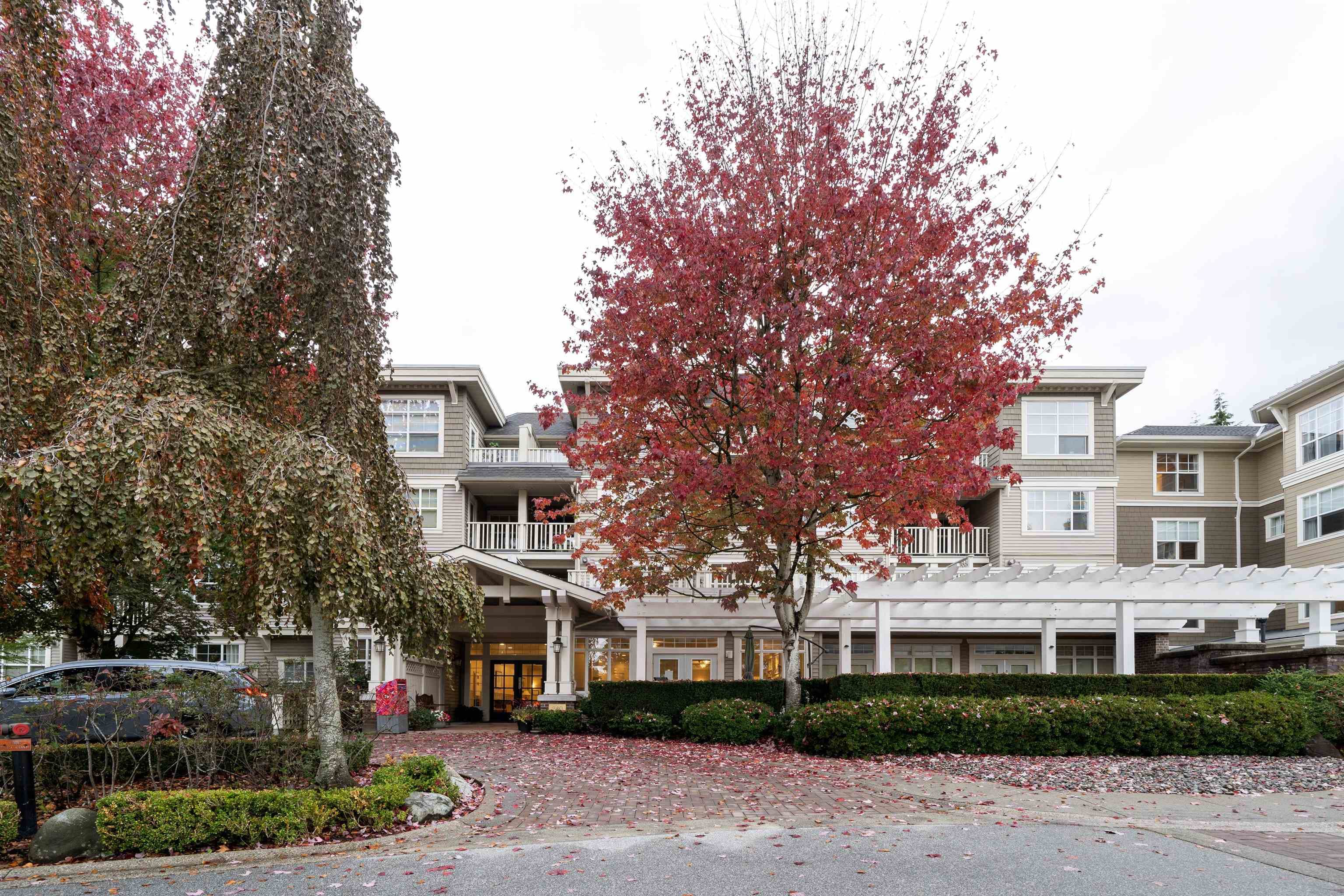 202 - 960 Lynn Valley Road, North Vancouver, V7J 3V6 — photo 3