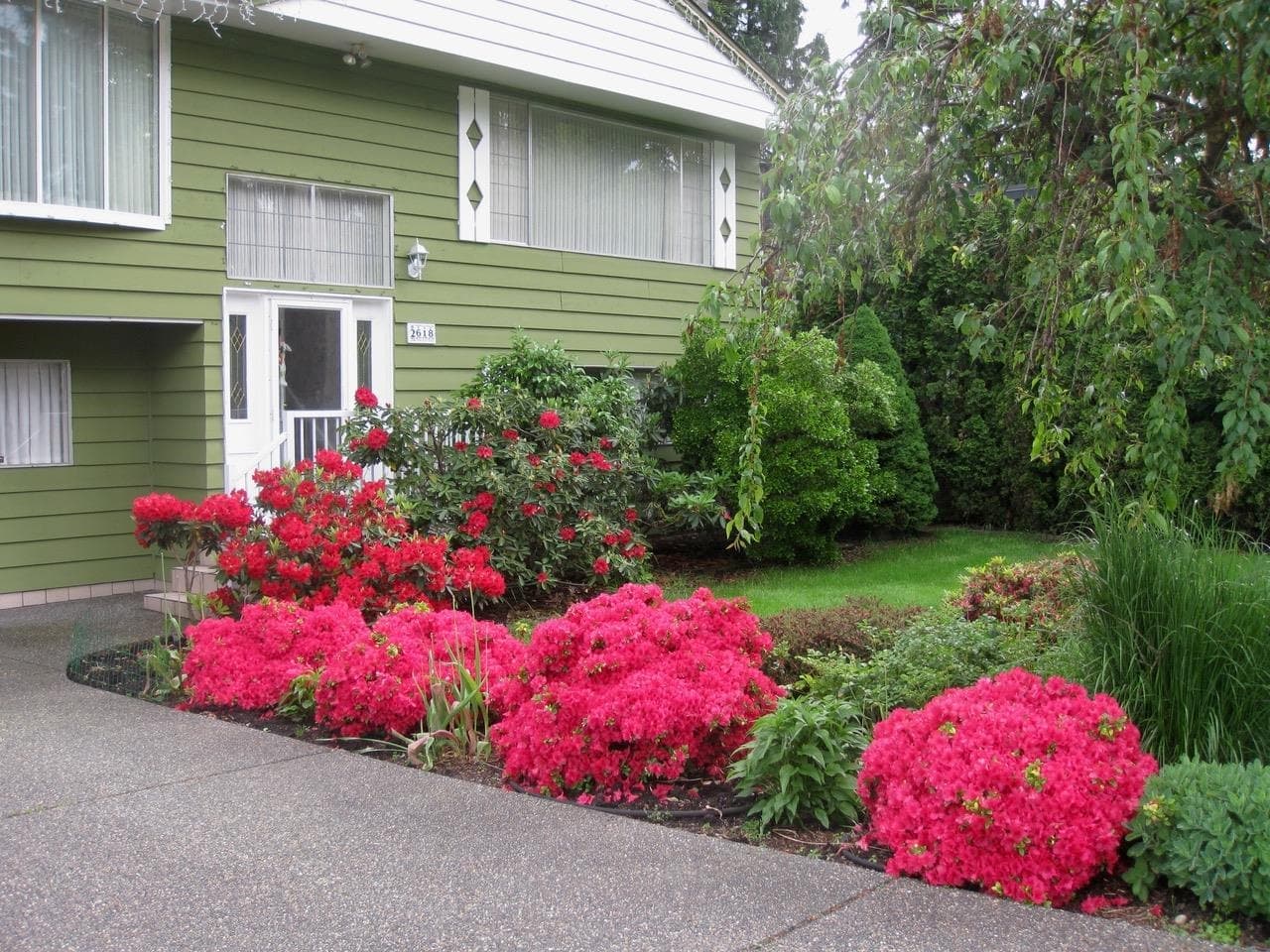 2618 Tuohey Avenue, Port Coquitlam, V3B 2E8 — photo 4