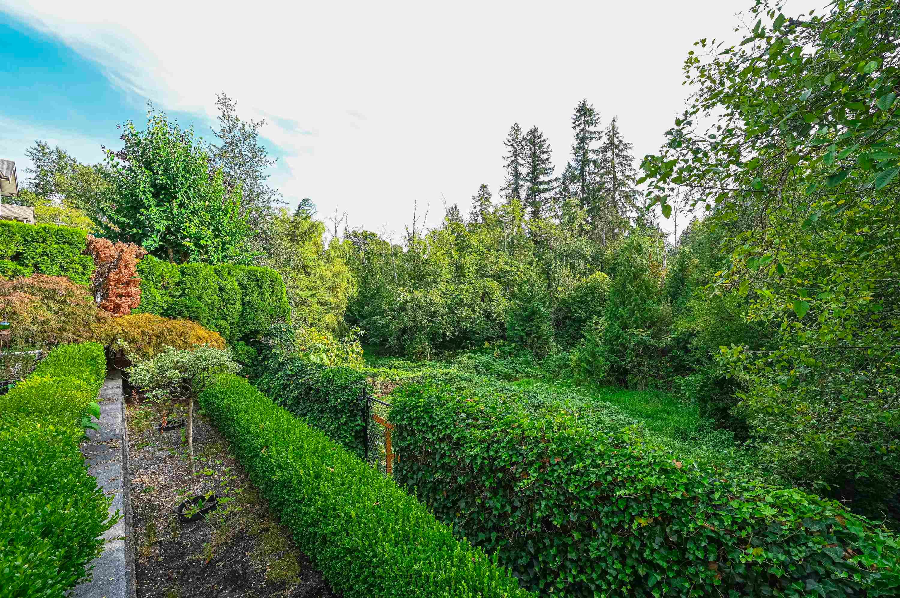 23766 110 Avenue, Maple Ridge, V2W 1E7 — photo 5