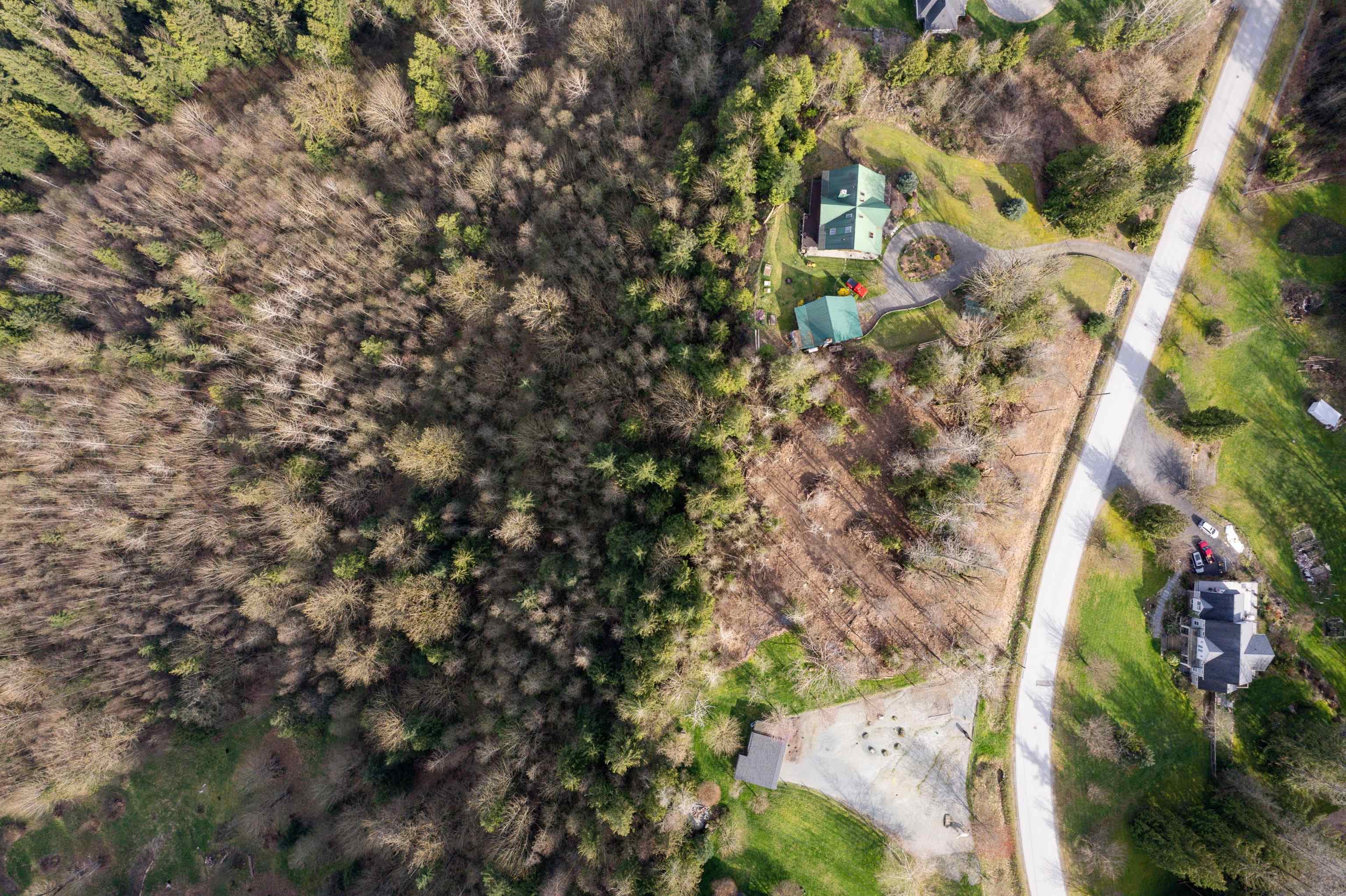 10230 Rolley Crescent, Maple Ridge, V2W 1J9 — photo 2