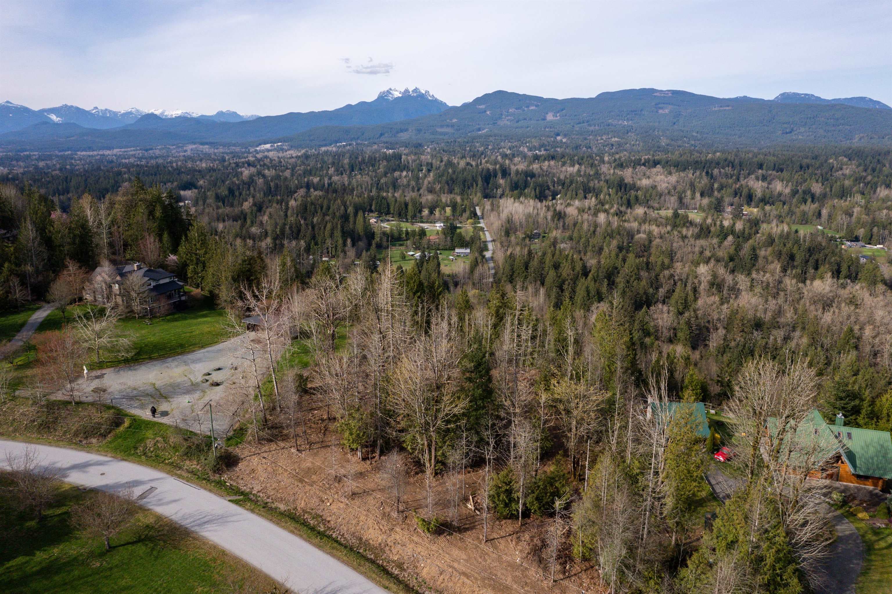 10230 Rolley Crescent, Maple Ridge, V2W 1J9 — photo 4
