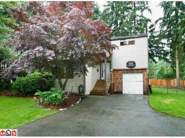 3799 196a Street, Langley, V3A 5W6 — photo 1