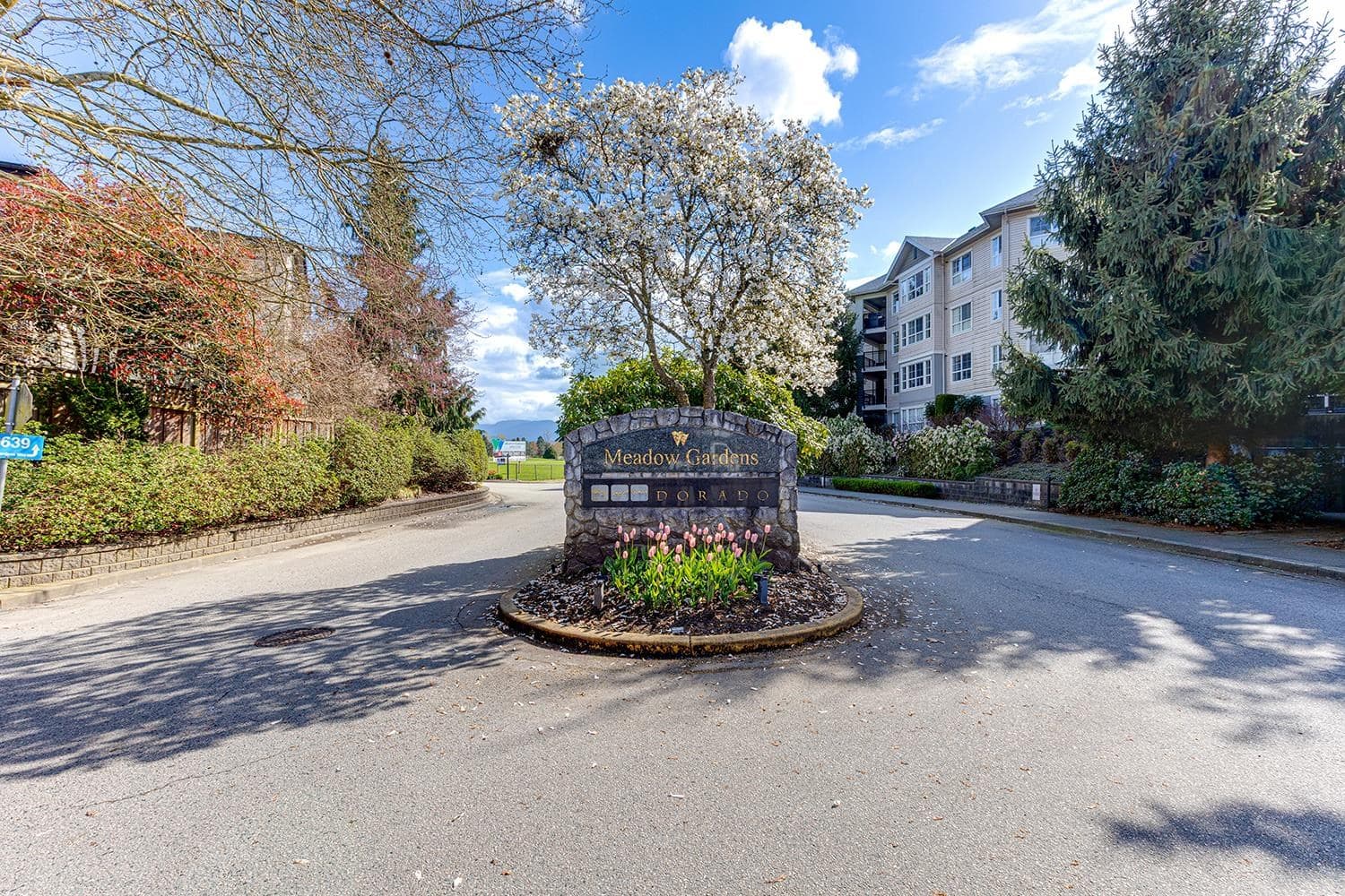 405 - 19673 Meadow Gardens Way, Pitt Meadows, V3Y 0A1 — photo 4