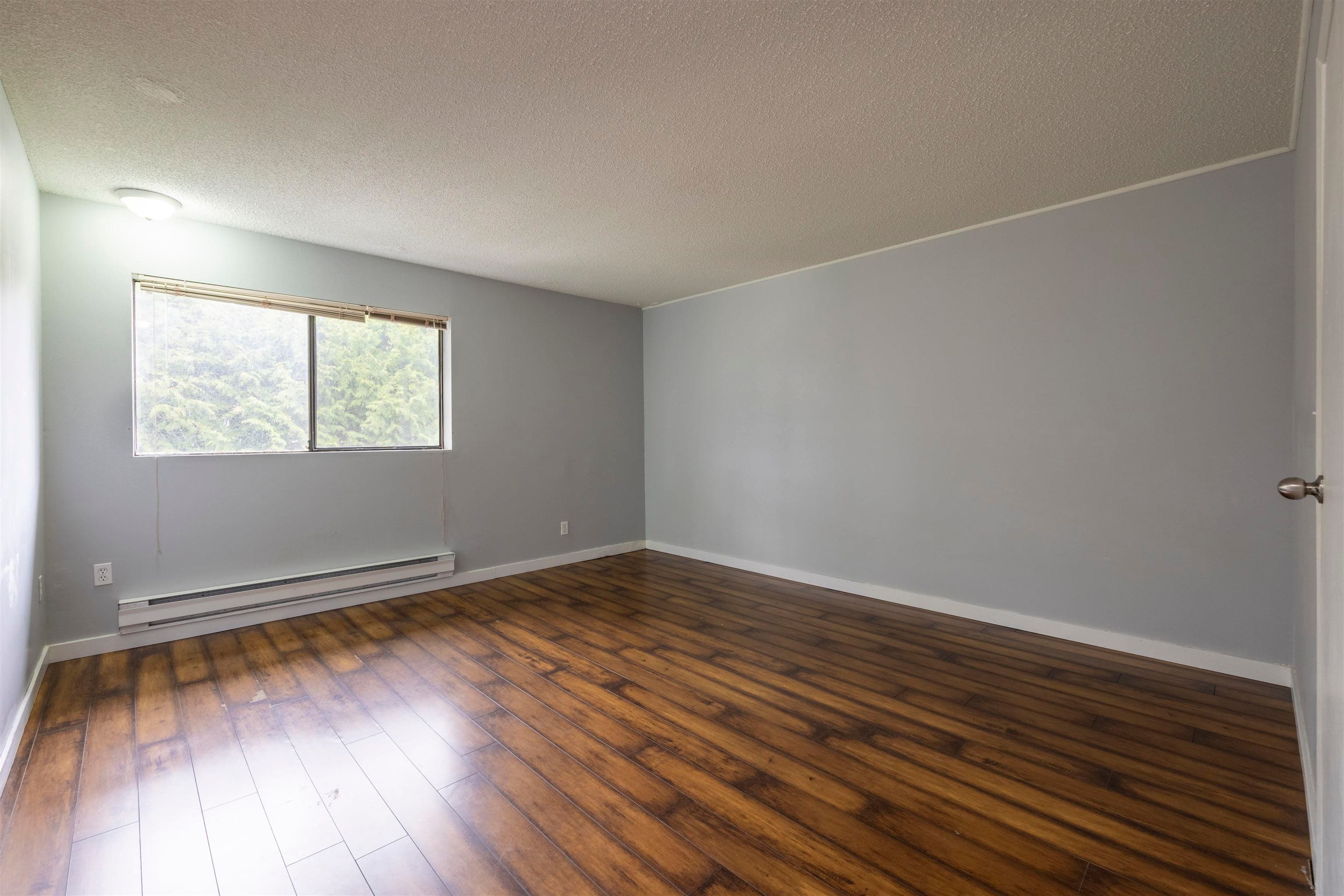 3371 Trumond Avenue, Richmond, V7E 1B4 — photo 5