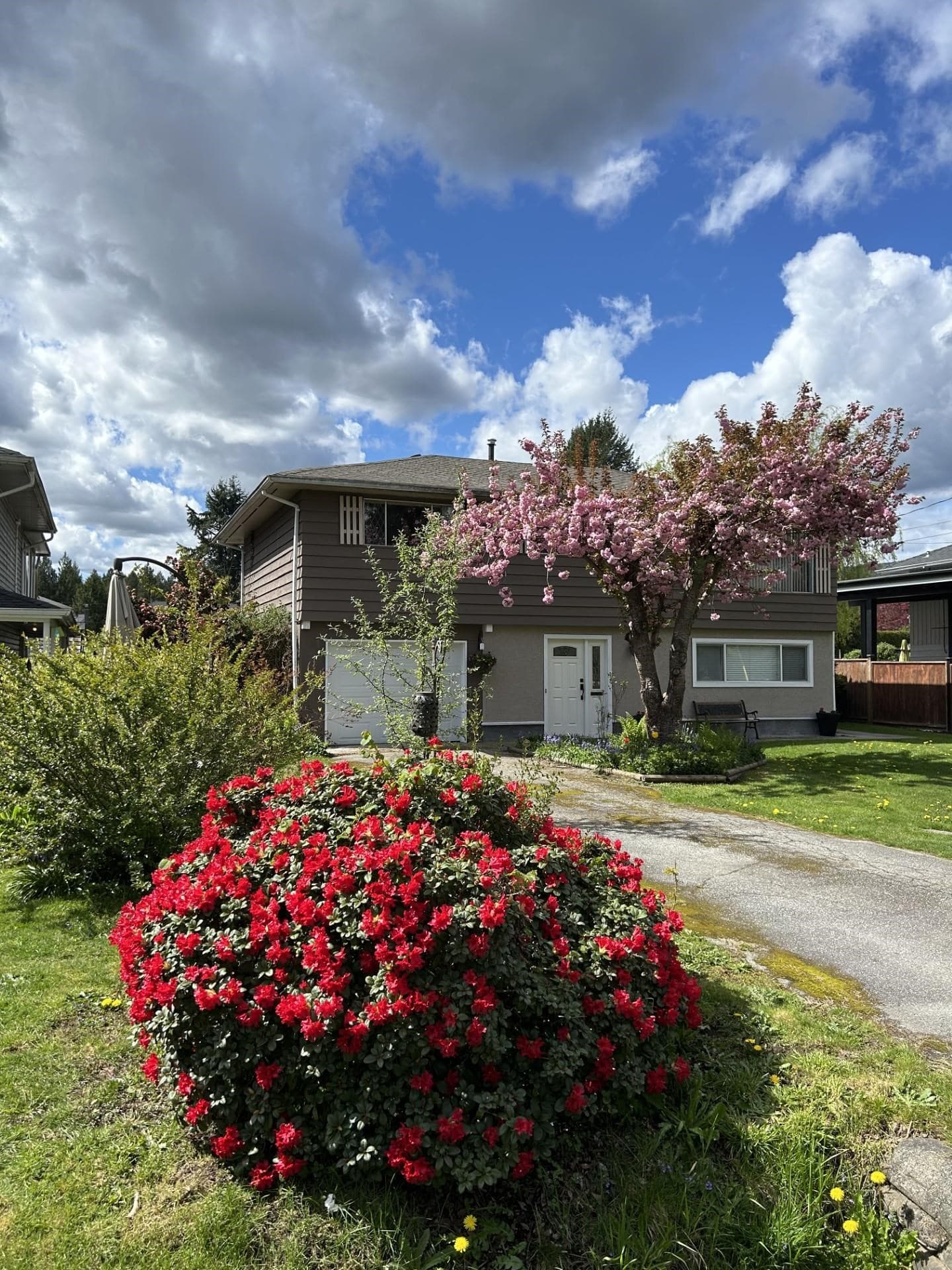 3745 Cedar Drive, Port Coquitlam, V3B 3E1 — photo 3