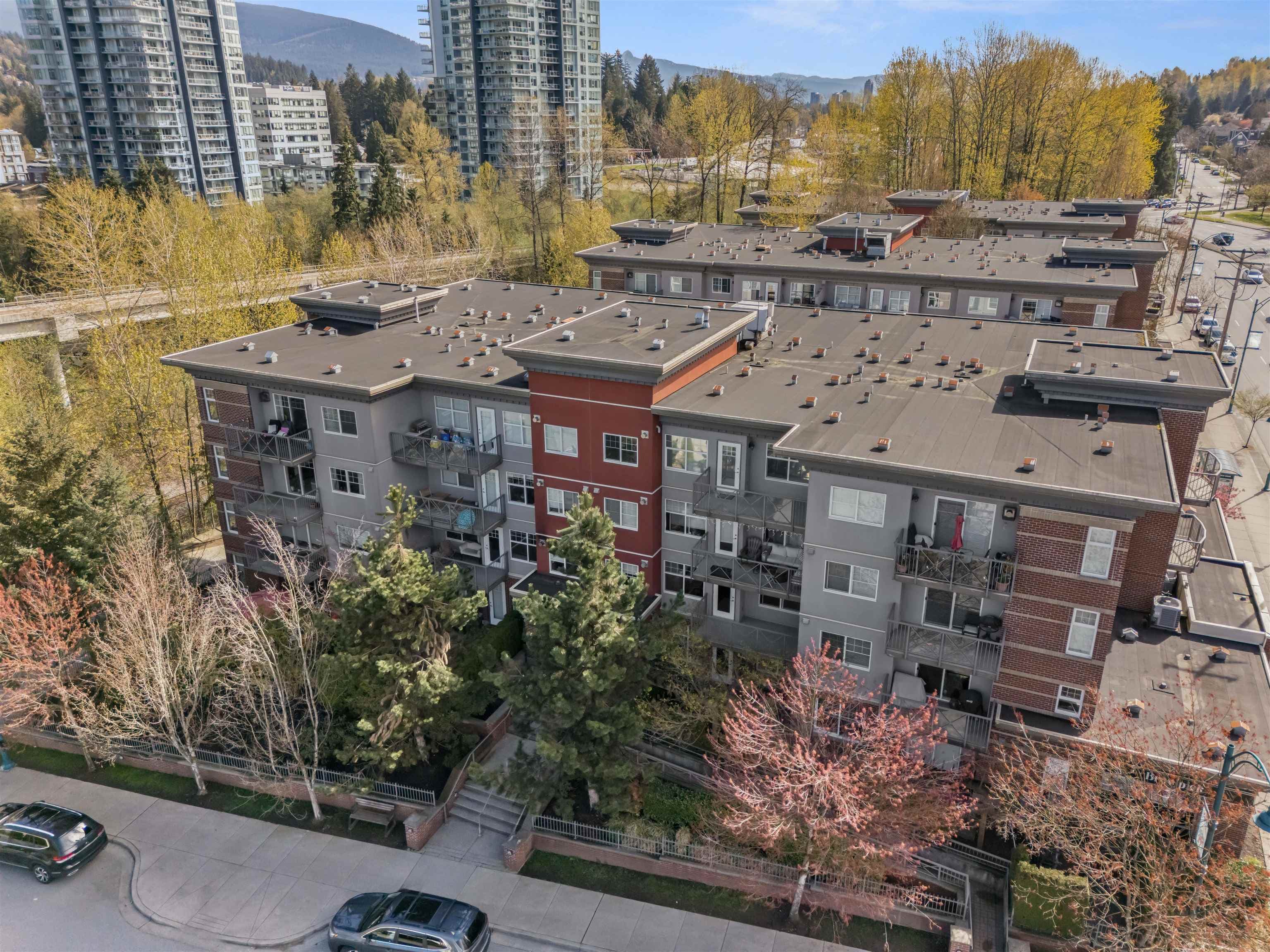 203 - 3240 St Johns Street, Port Moody, V3H 0C1 — photo 3