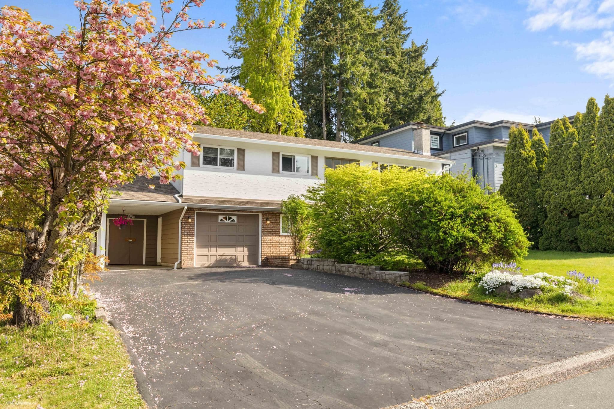 11101 72a Avenue, Delta, V4C 1A2 — photo 3