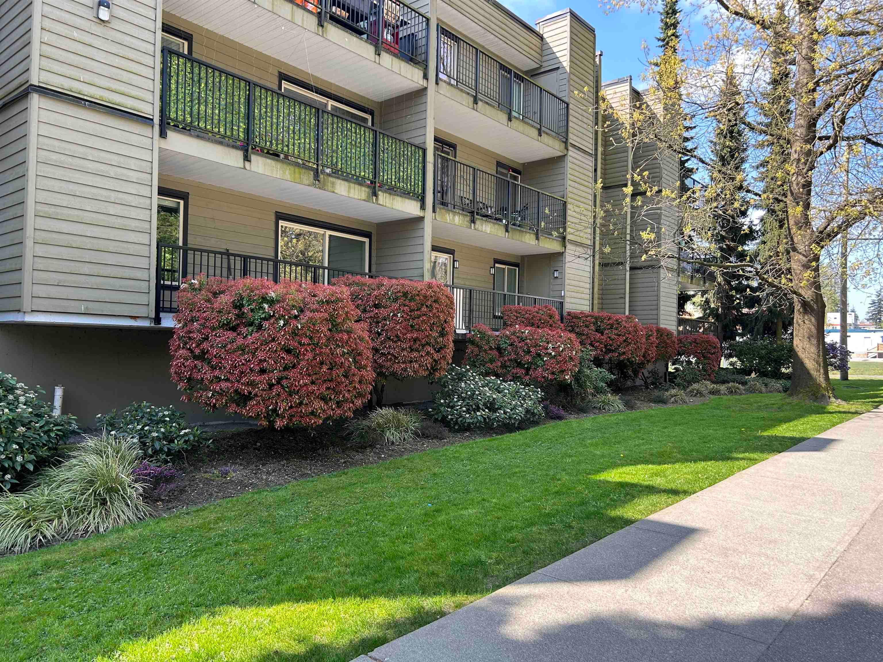 112 - 10468 148 Street, Surrey, V3R 8T1 — photo 1